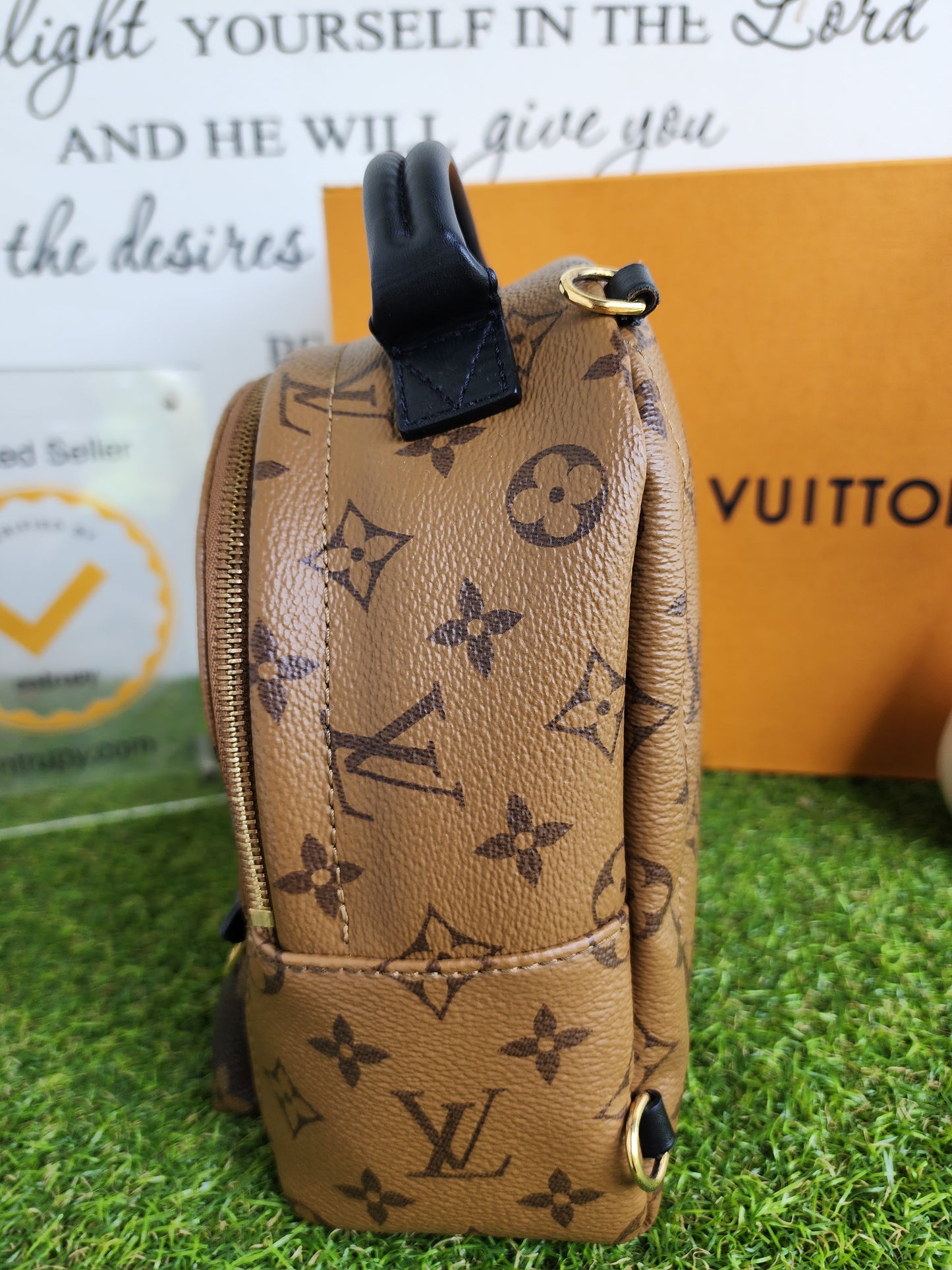 LOUIS VUITTON PALMSPRING MINI REVERSE