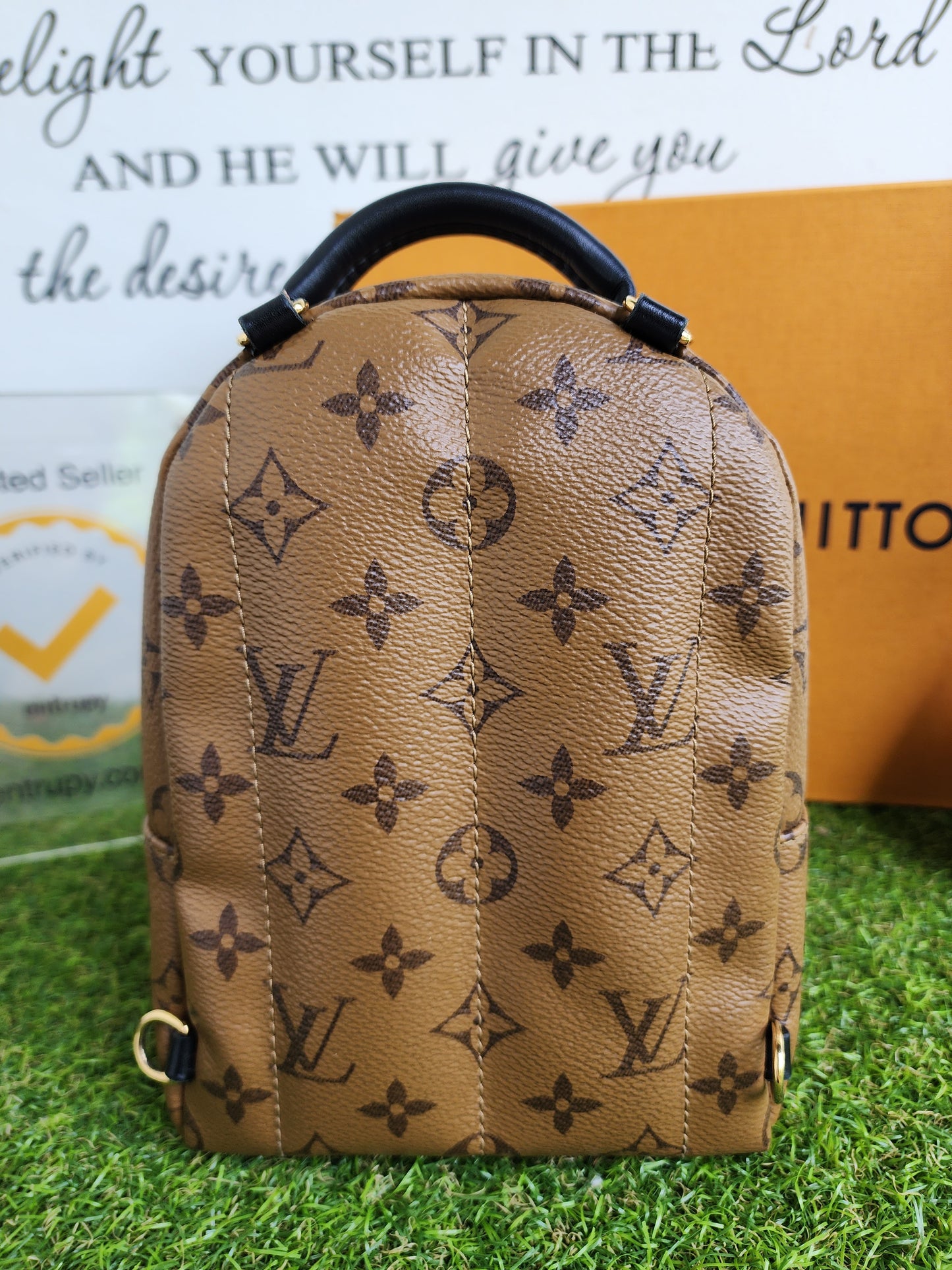 LOUIS VUITTON PALMSPRING MINI REVERSE