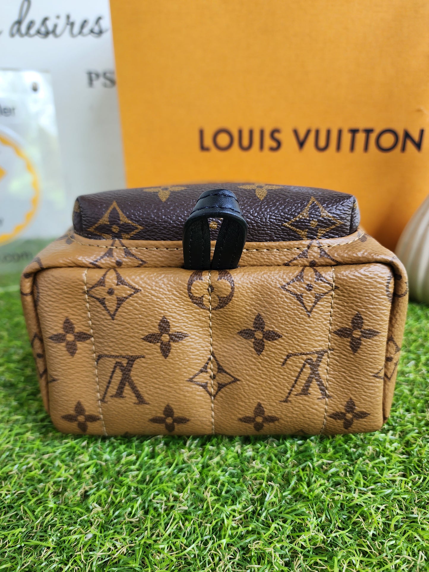 LOUIS VUITTON PALMSPRING MINI REVERSE