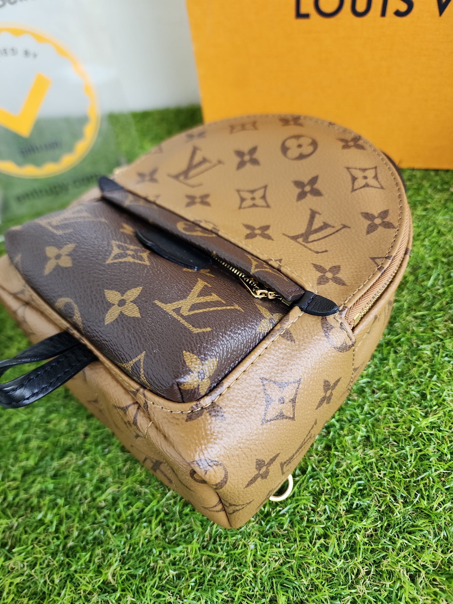 LOUIS VUITTON PALMSPRING MINI REVERSE