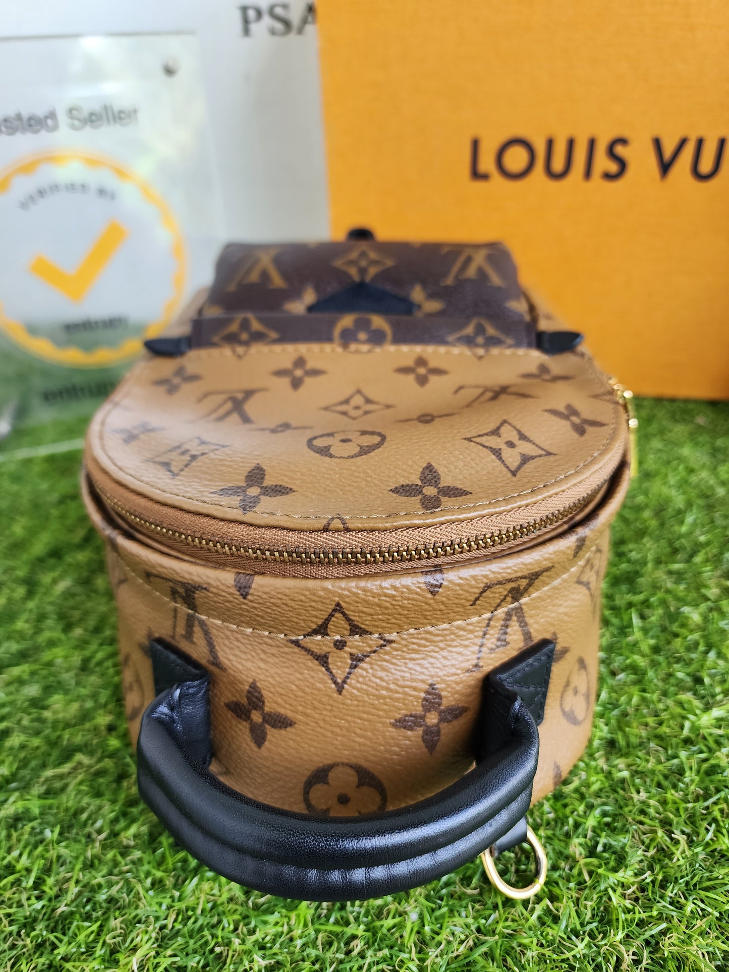 LOUIS VUITTON PALMSPRING MINI REVERSE