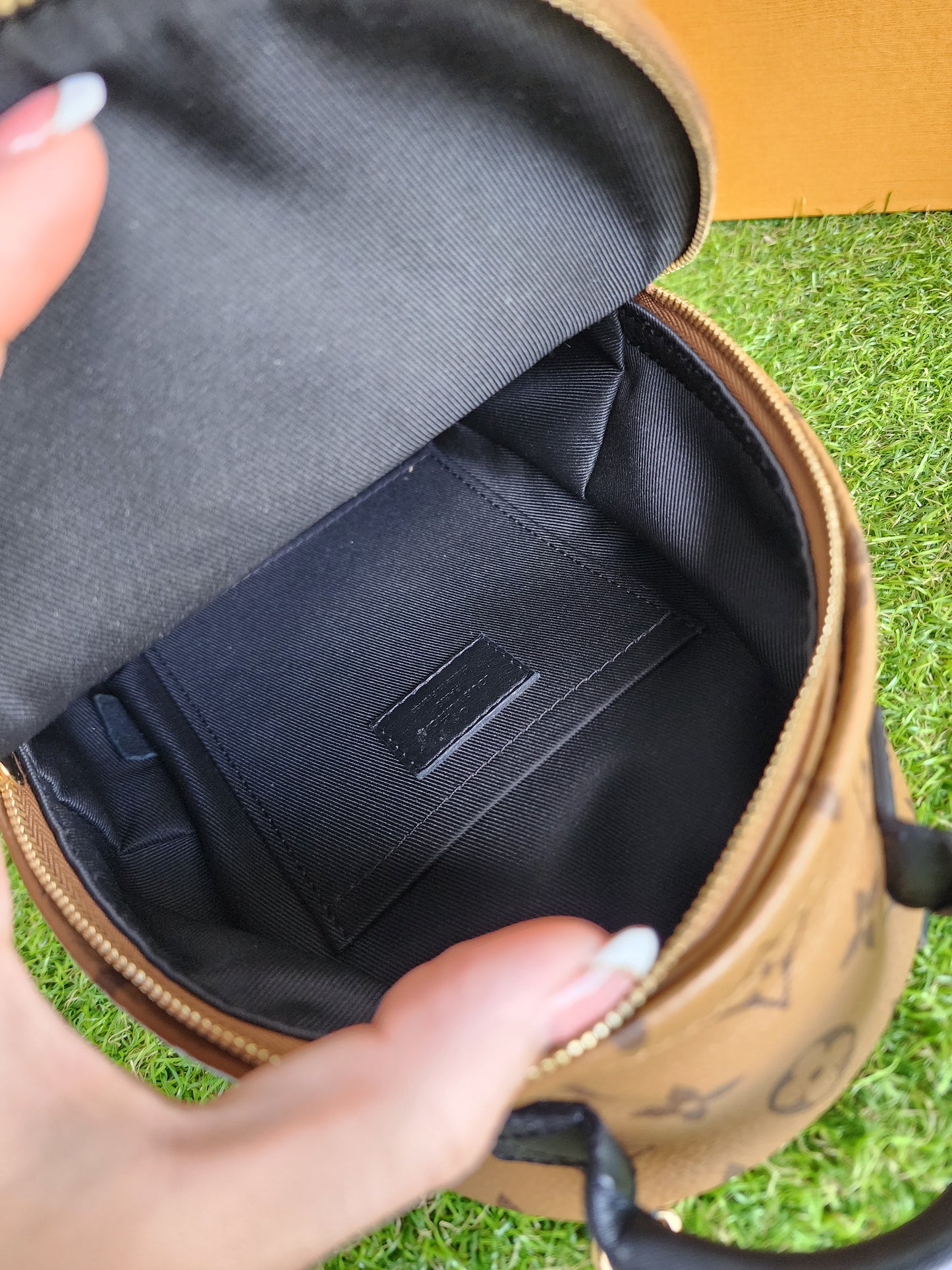 LOUIS VUITTON PALMSPRING MINI REVERSE