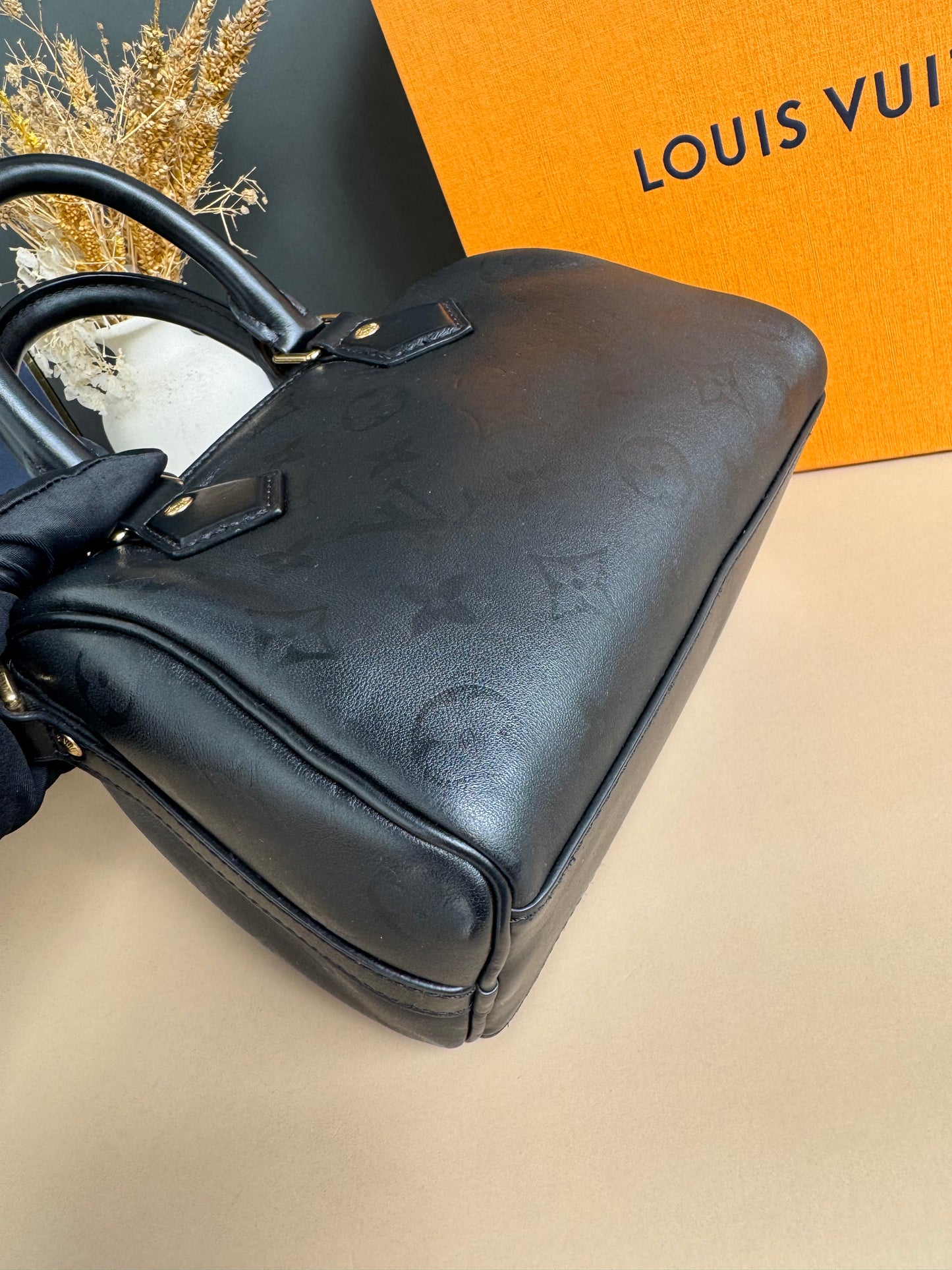 LOUIS VUITON MONOGRAM INK SPEEDY BB