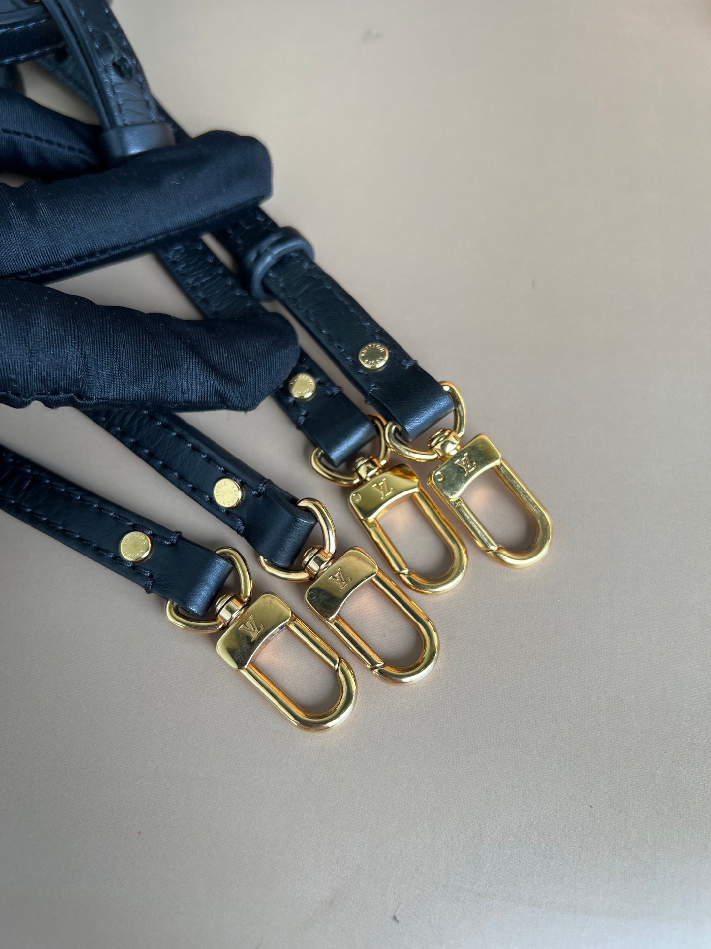 LOUIS VUITTON PALMSPRING MINI MONOGRAM