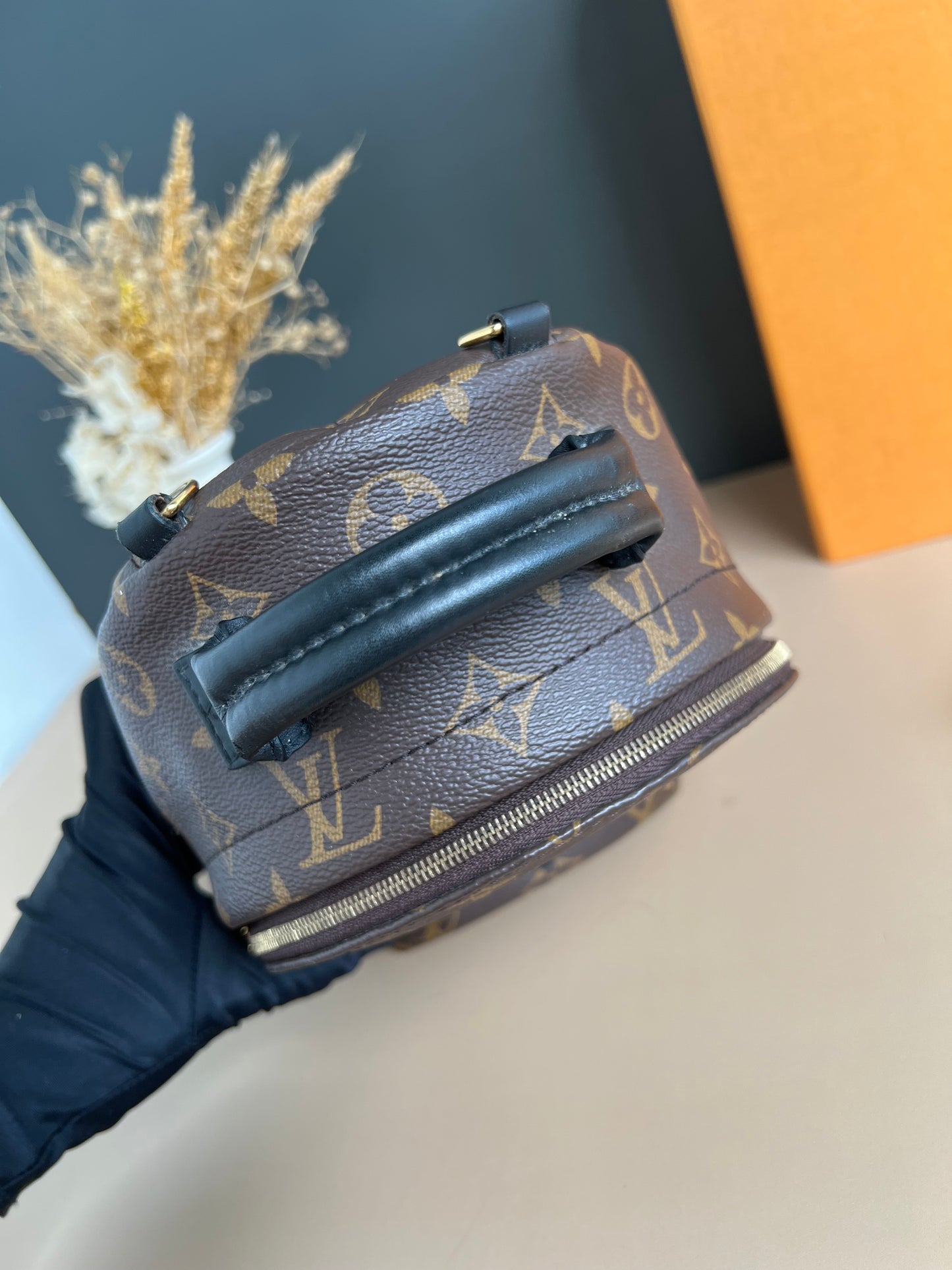 LOUIS VUITTON PALMSPRING MINI MONOGRAM