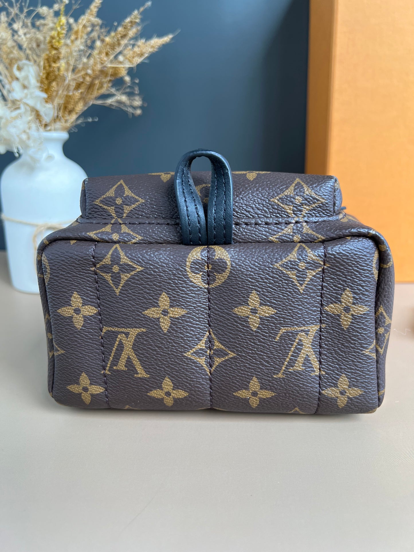 LOUIS VUITTON PALMSPRING MINI MONOGRAM