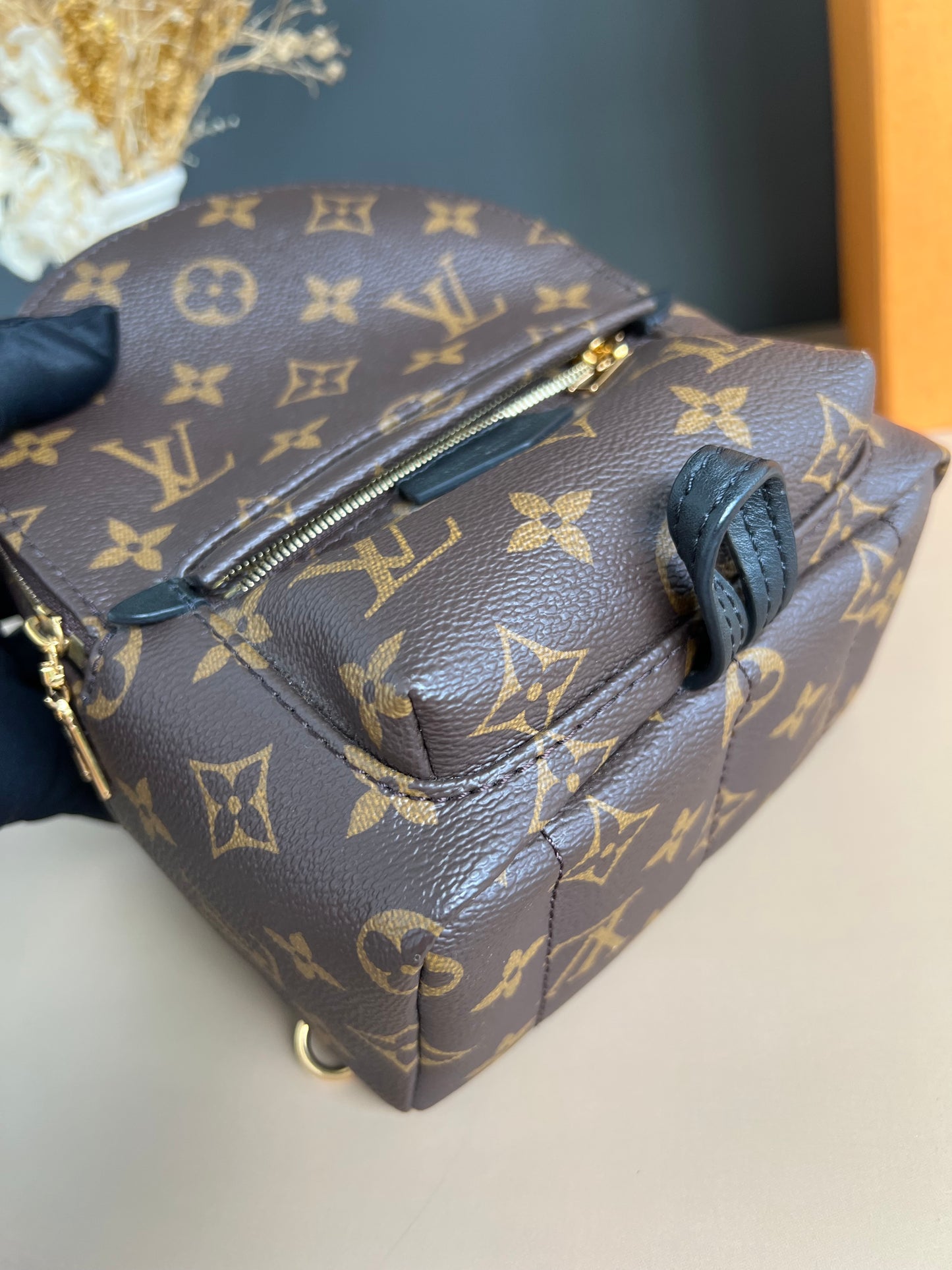 LOUIS VUITTON PALMSPRING MINI MONOGRAM