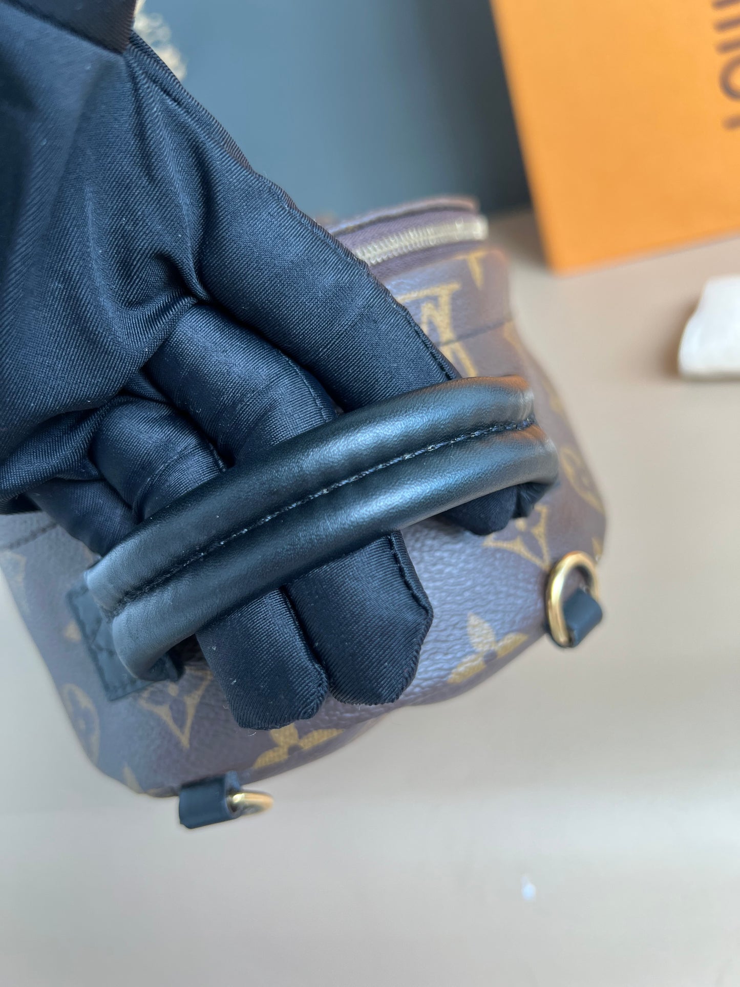 LOUIS VUITTON PALMSPRING MINI MONOGRAM