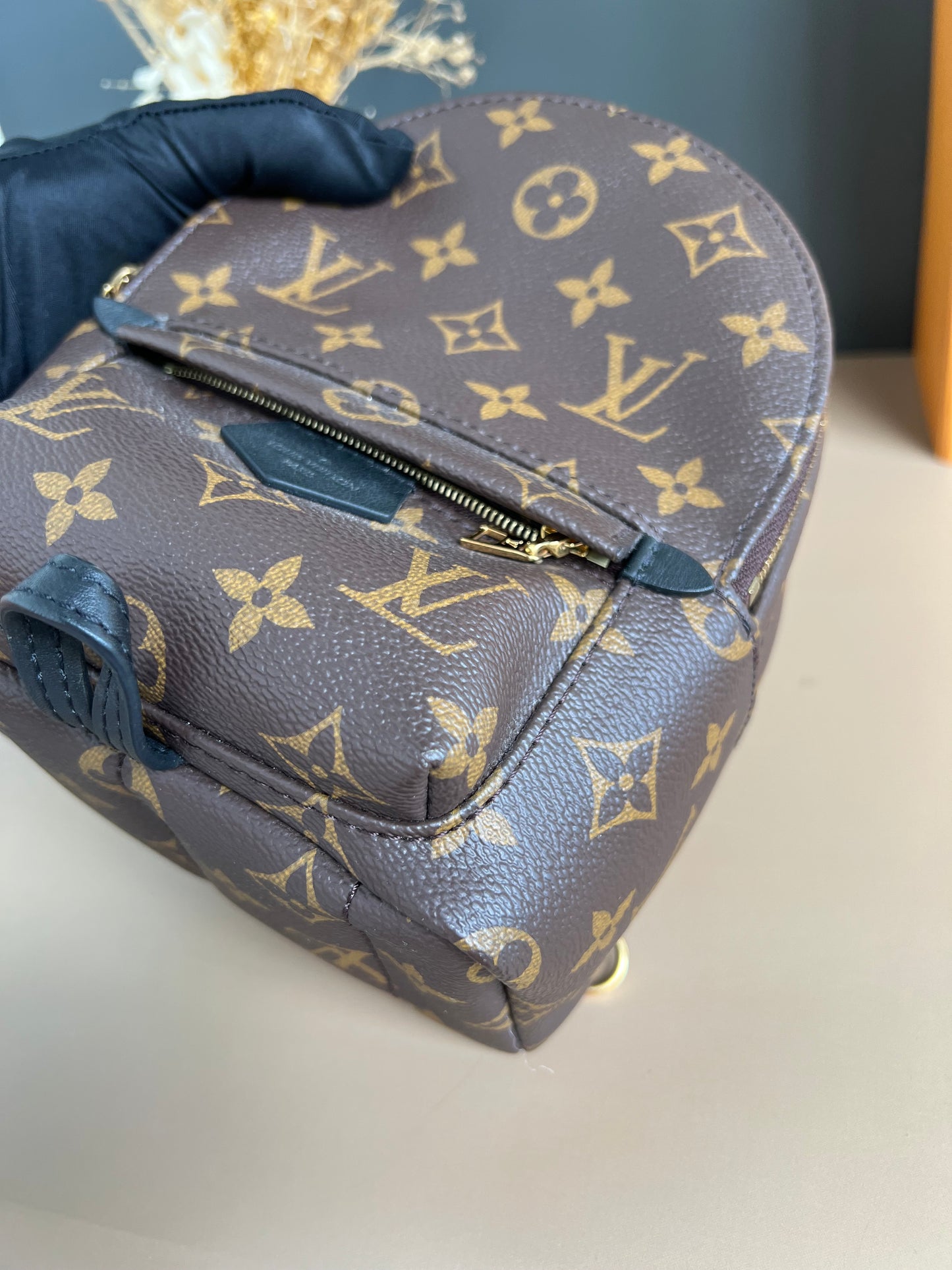 LOUIS VUITTON PALMSPRING MINI MONOGRAM
