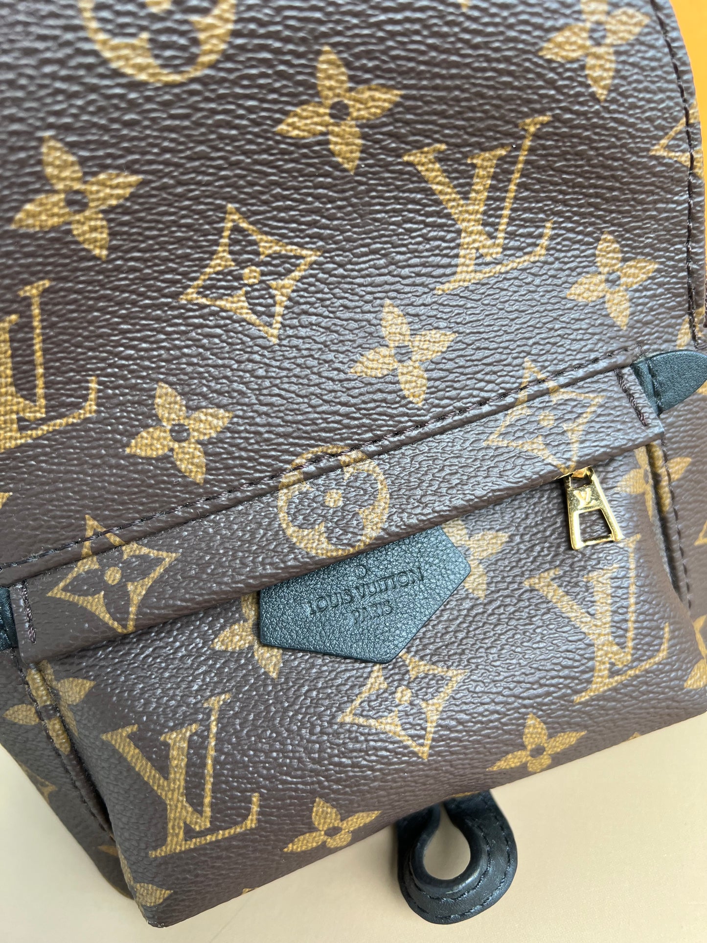 LOUIS VUITTON PALMSPRING MINI MONOGRAM