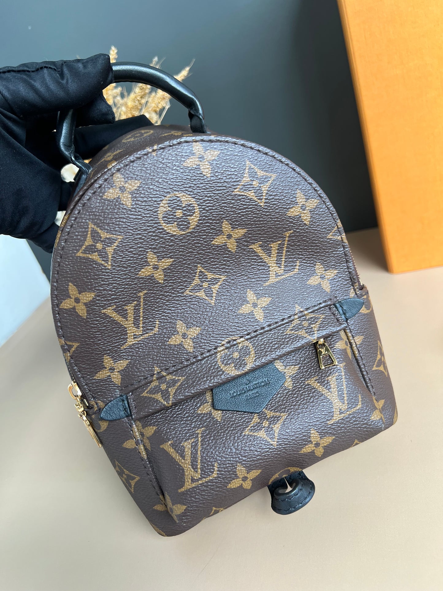 LOUIS VUITTON PALMSPRING MINI MONOGRAM