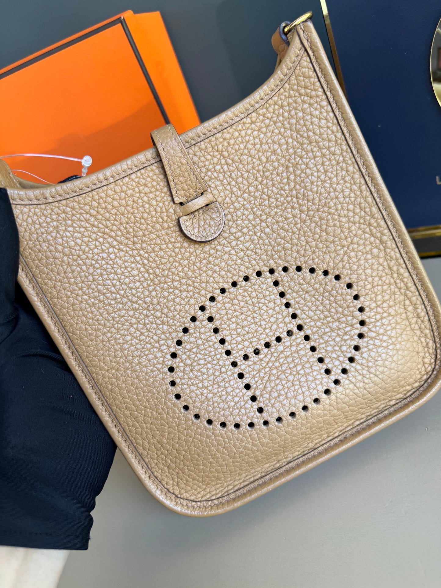 Hermes evelyne TPM