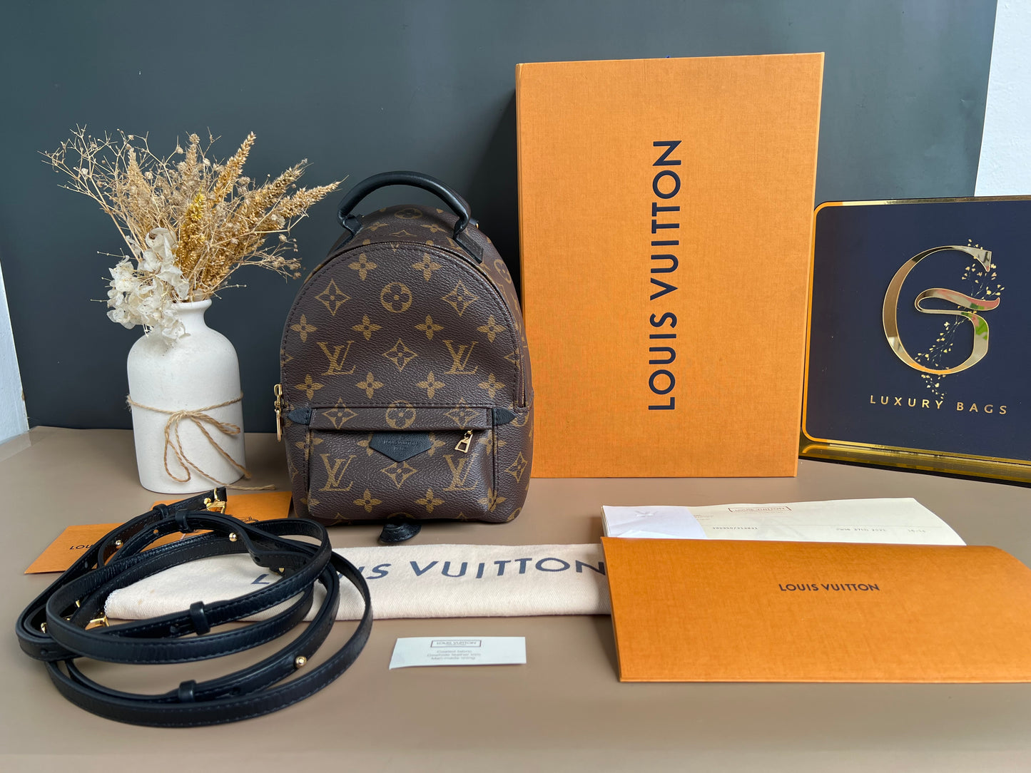 LOUIS VUITTON PALMSPRING MINI MONOGRAM