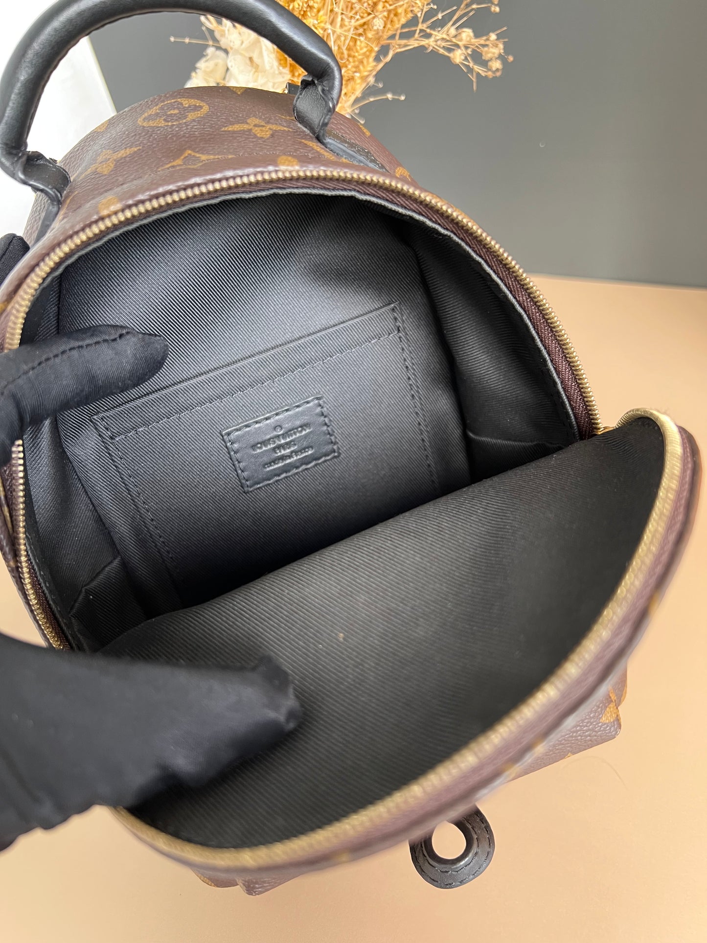 LOUIS VUITTON PALMSPRING MINI MONOGRAM