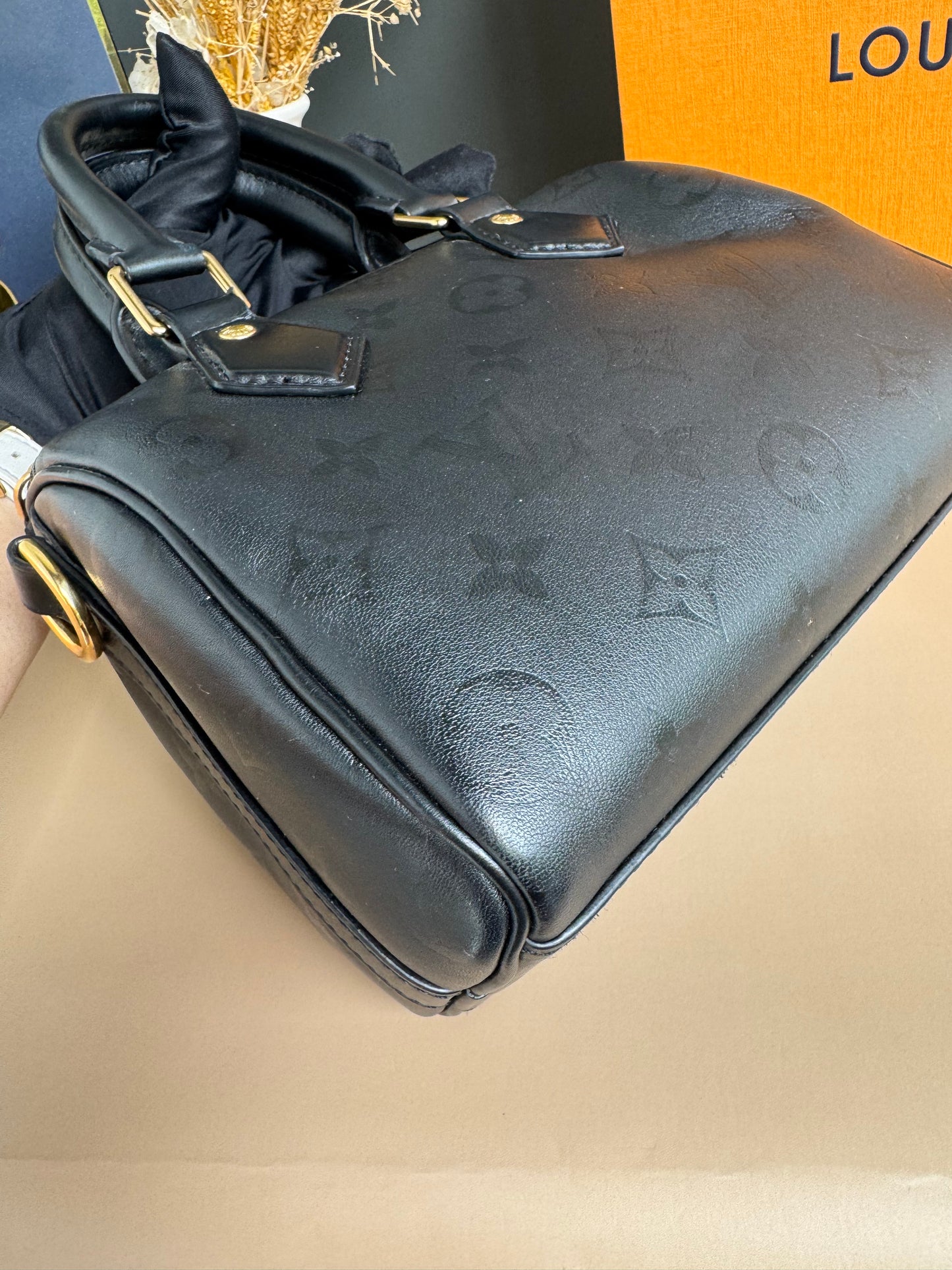 LOUIS VUITON MONOGRAM INK SPEEDY BB