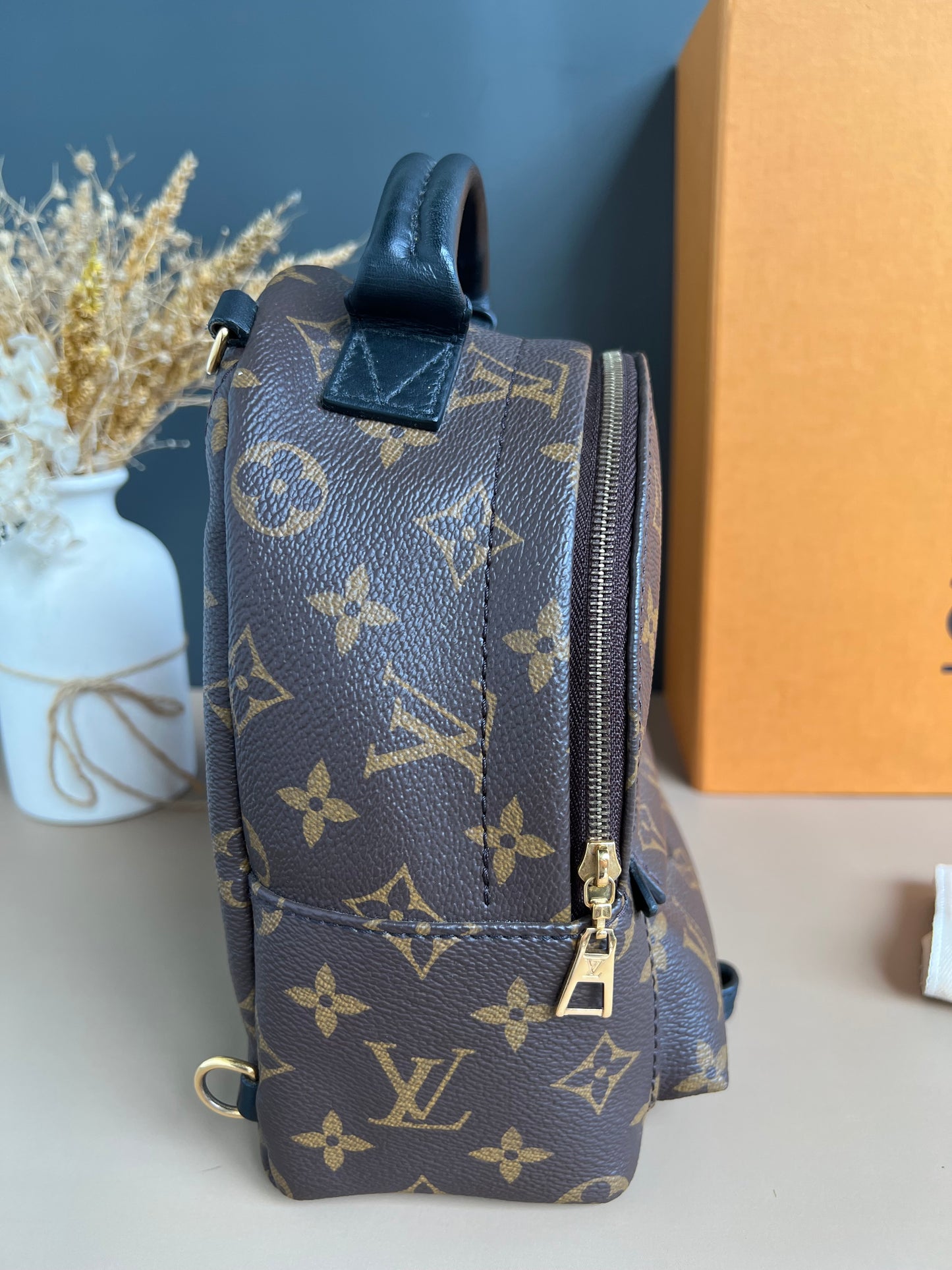 LOUIS VUITTON PALMSPRING MINI MONOGRAM