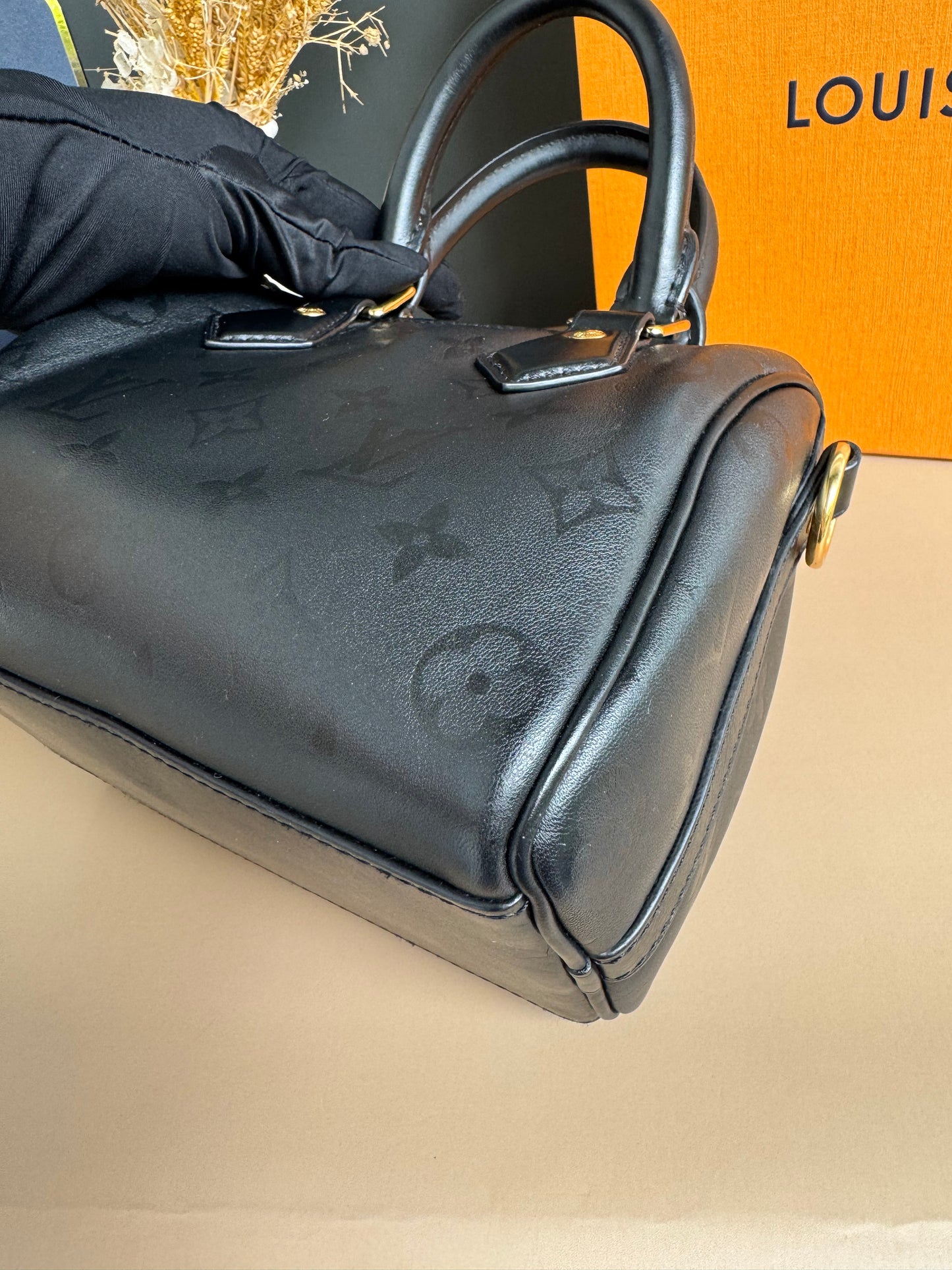 LOUIS VUITON MONOGRAM INK SPEEDY BB