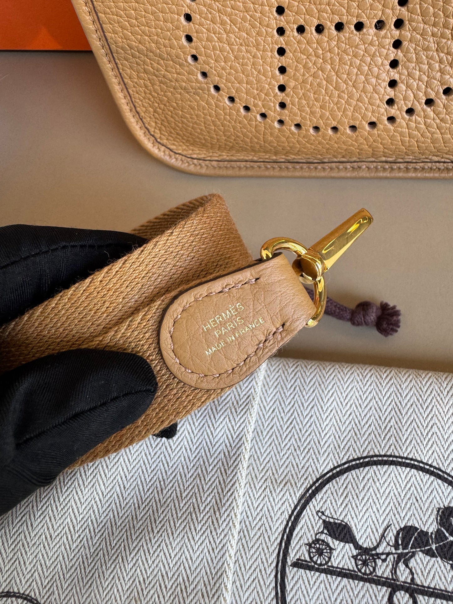 Hermes evelyne TPM