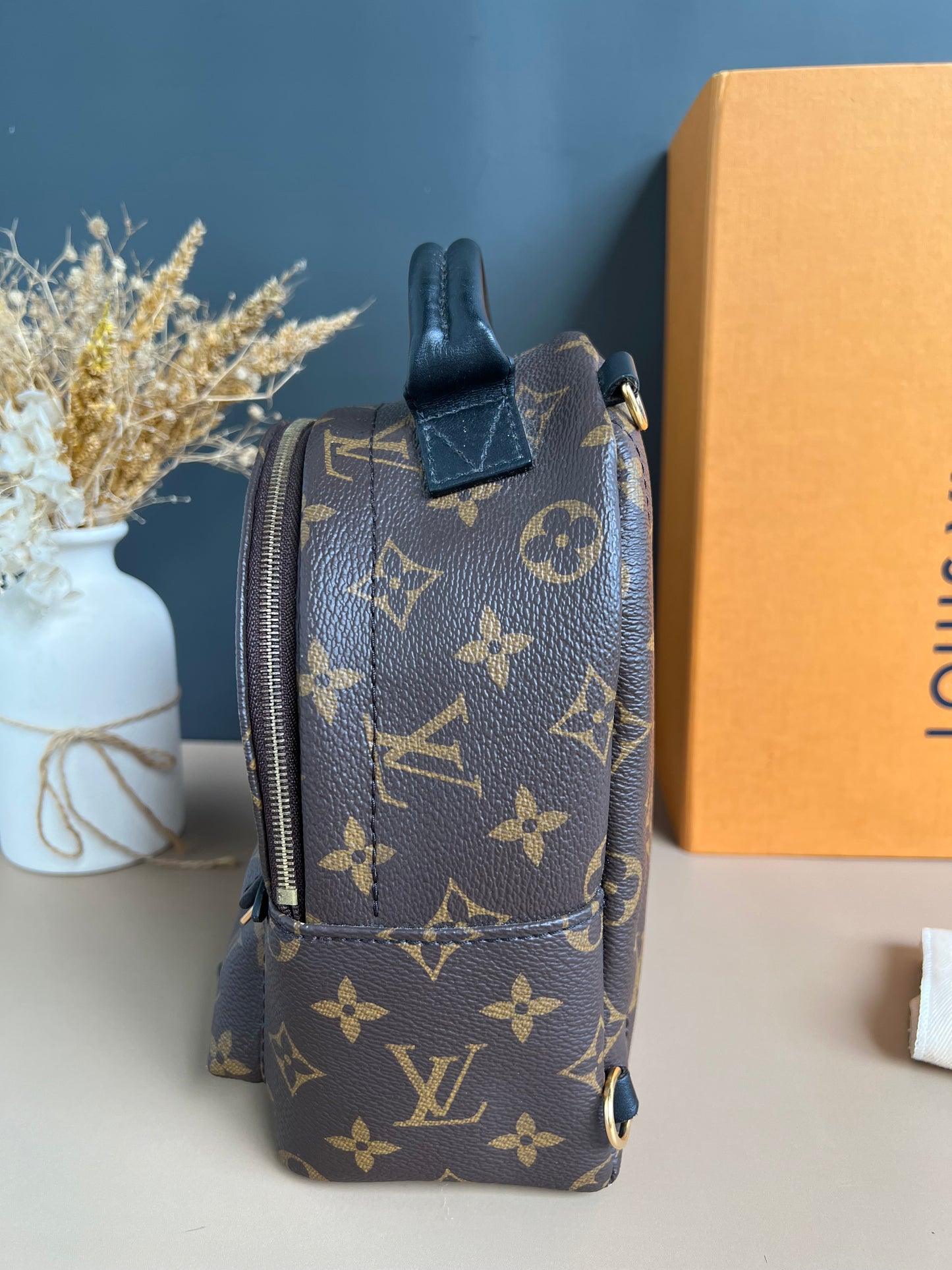 LOUIS VUITTON PALMSPRING MINI MONOGRAM
