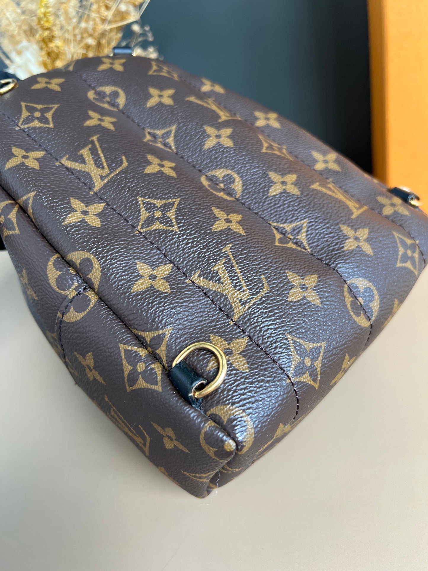 LOUIS VUITTON PALMSPRING MINI MONOGRAM