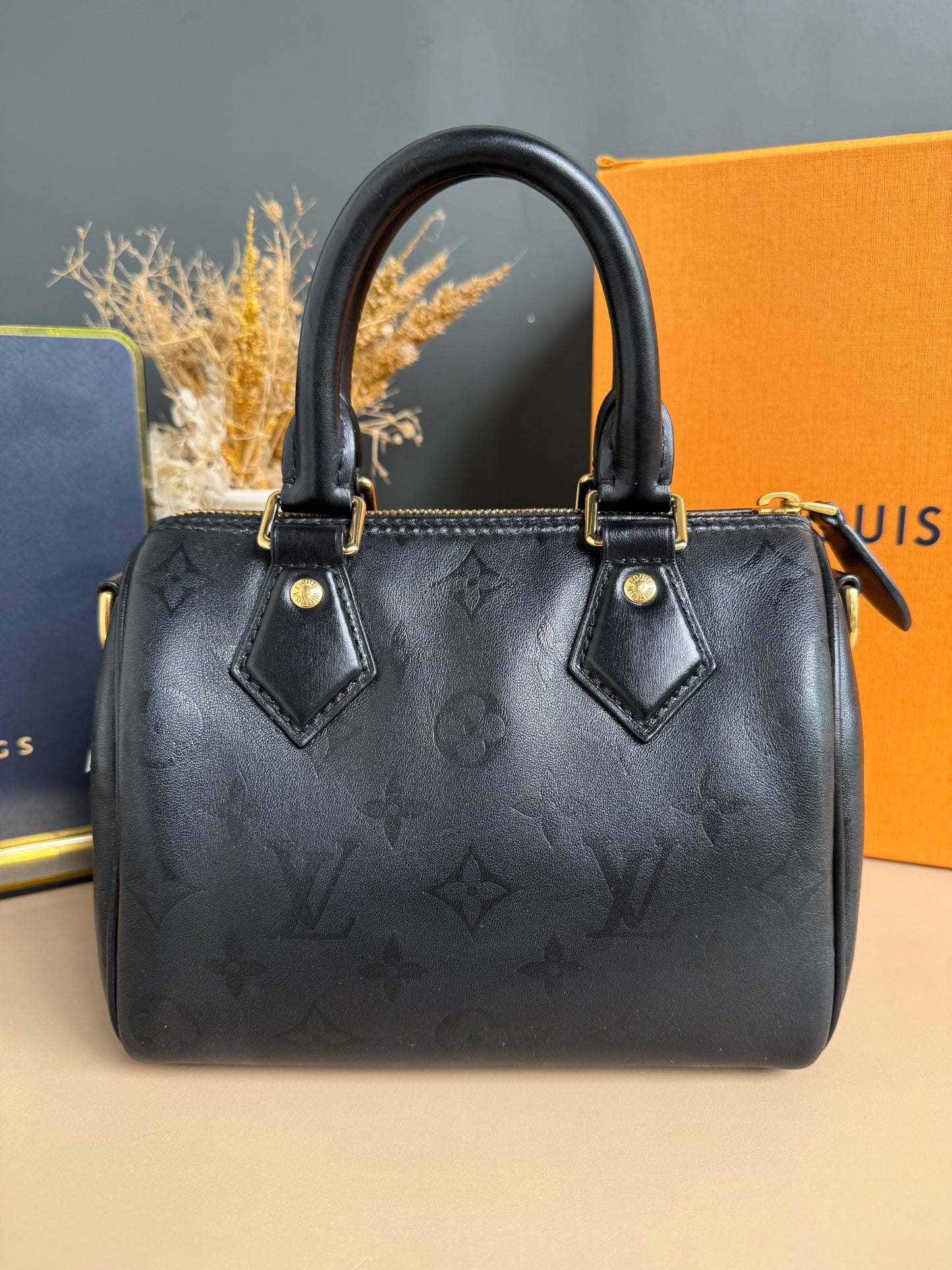 LOUIS VUITON MONOGRAM INK SPEEDY BB