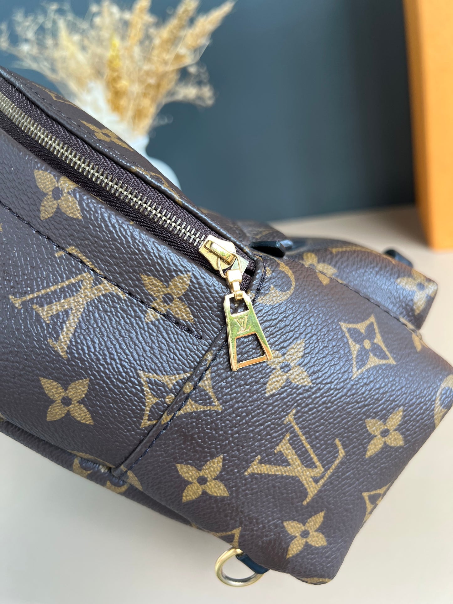 LOUIS VUITTON PALMSPRING MINI MONOGRAM