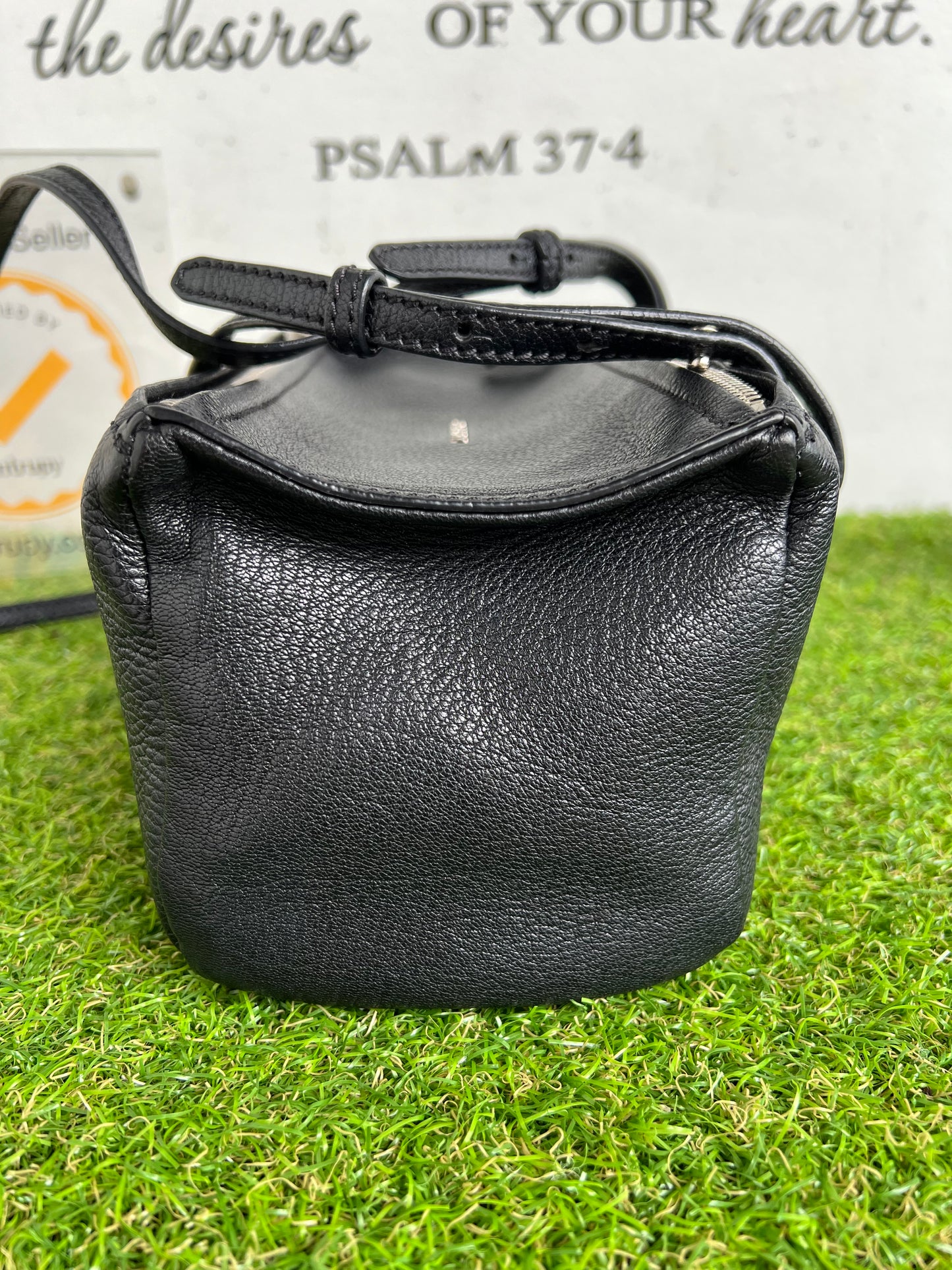 GIVENCHY MINI PANDORA
