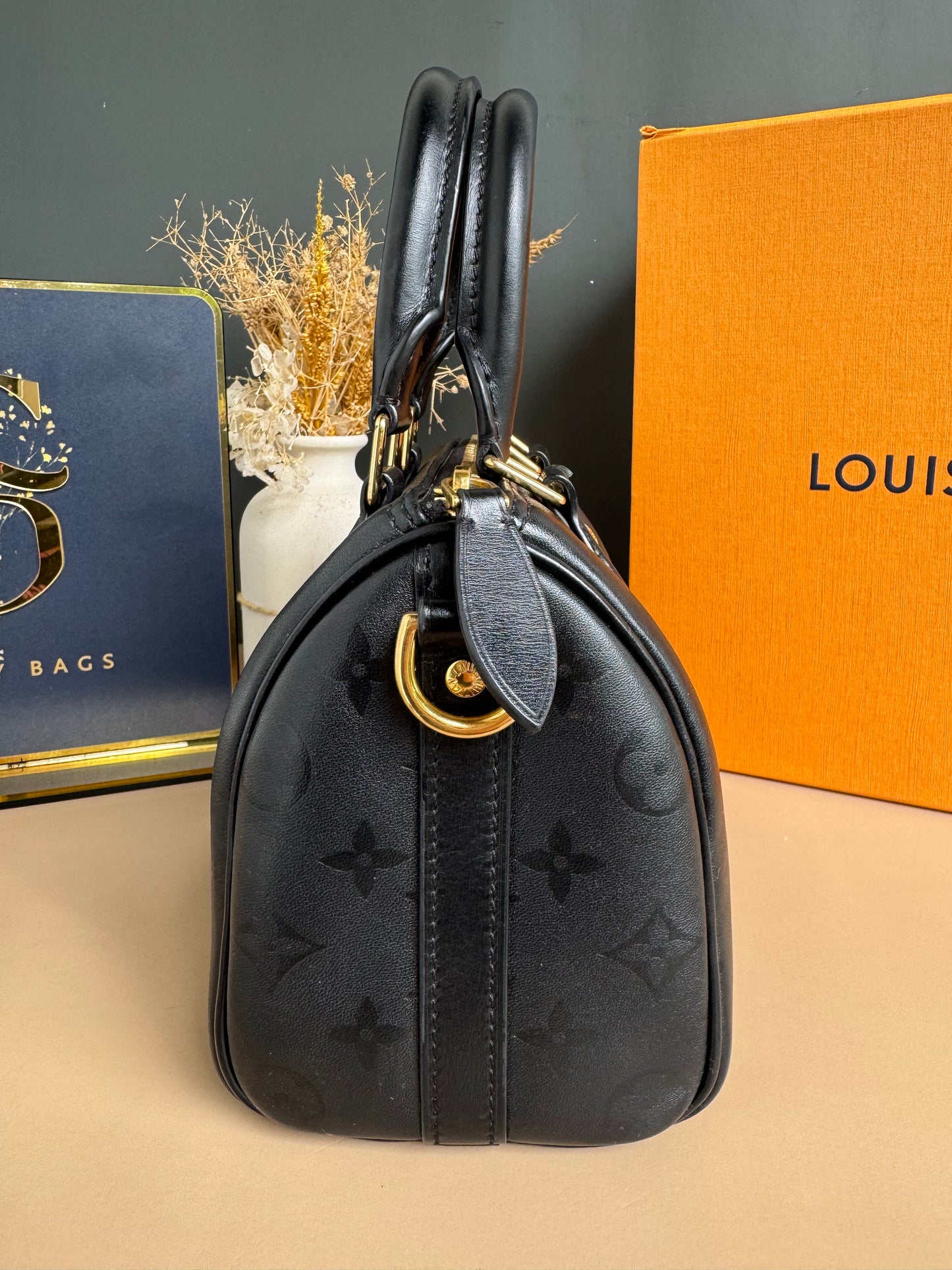 LOUIS VUITON MONOGRAM INK SPEEDY BB