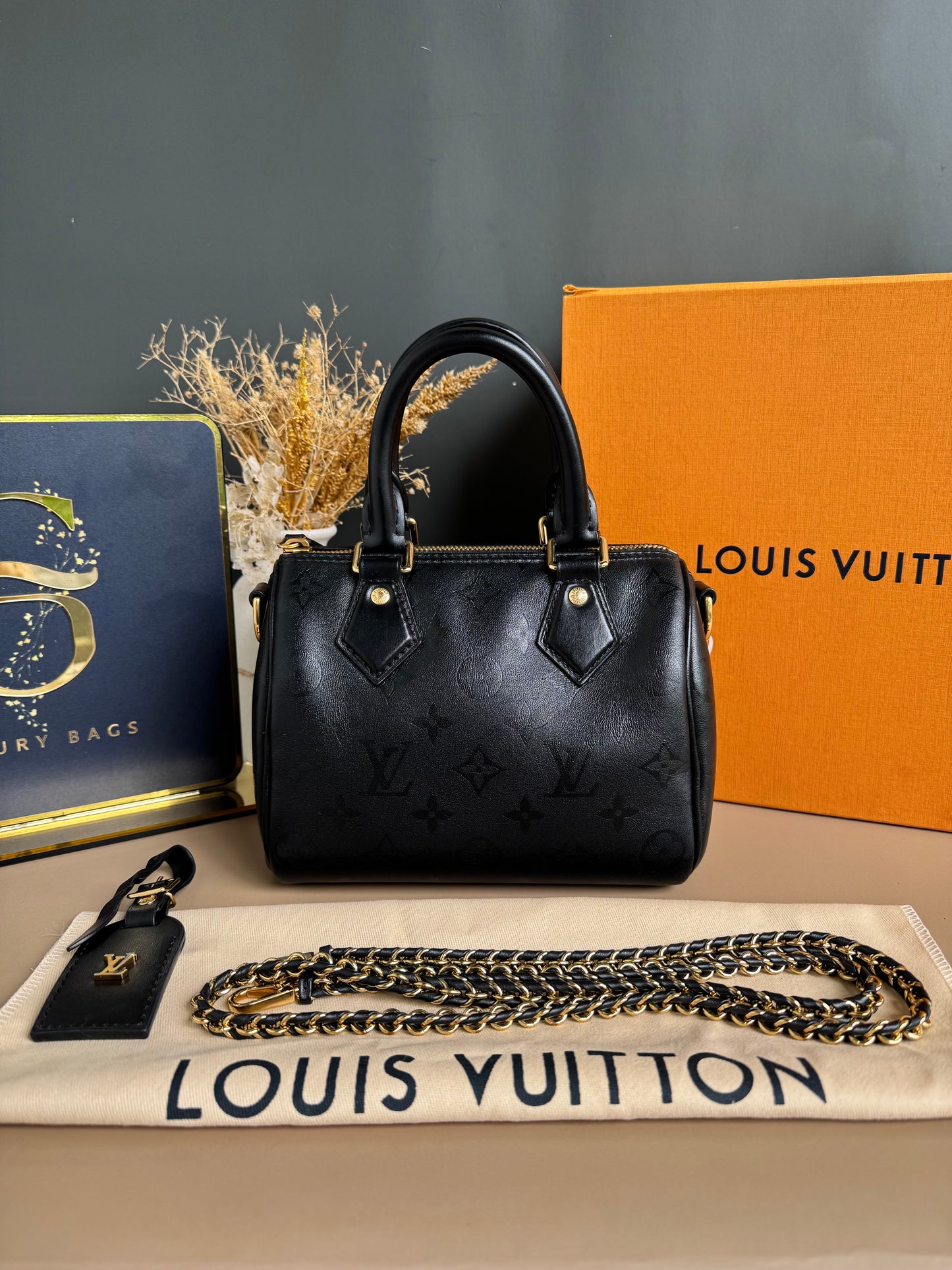 LOUIS VUITON MONOGRAM INK SPEEDY BB
