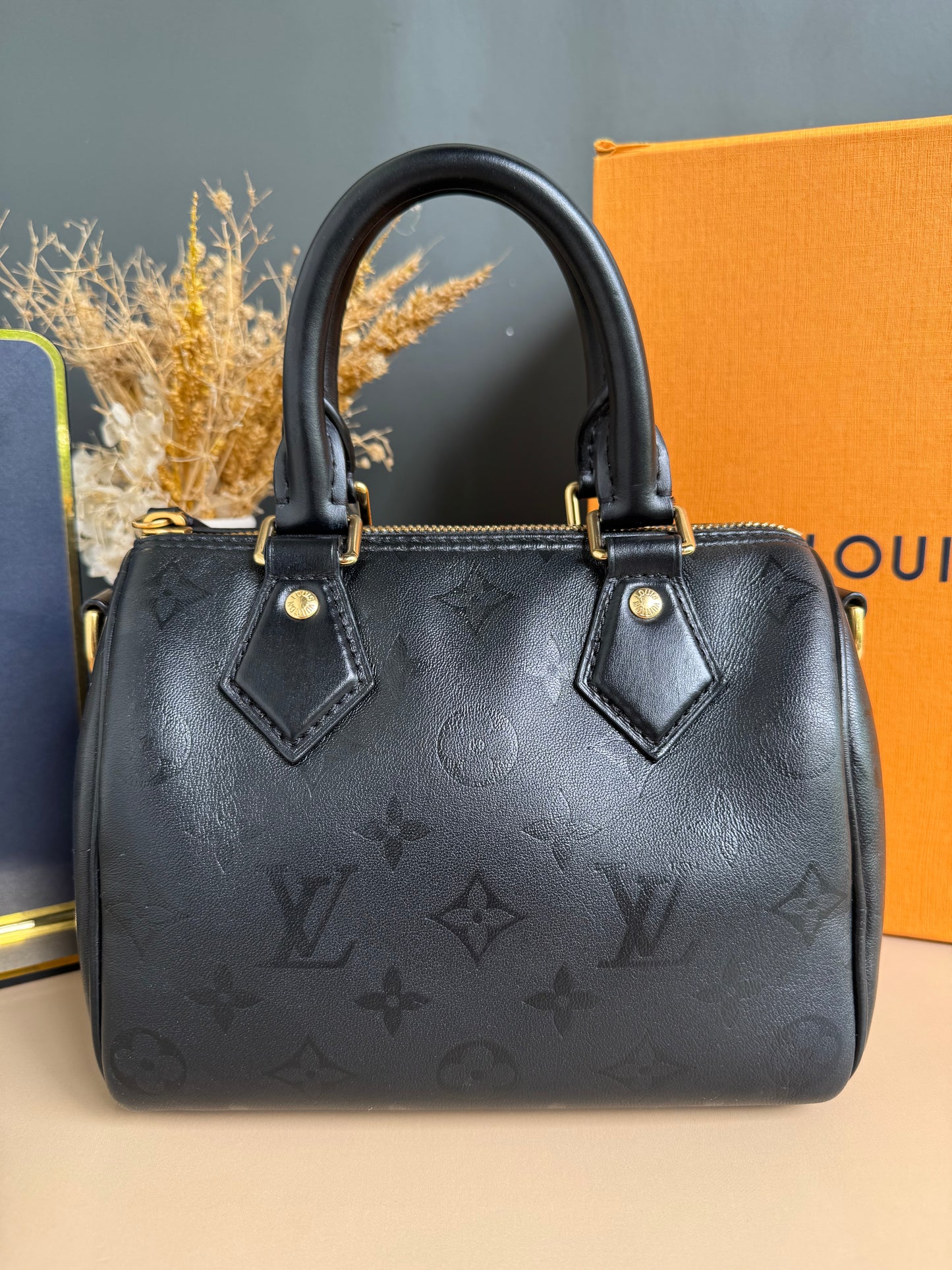 LOUIS VUITON MONOGRAM INK SPEEDY BB