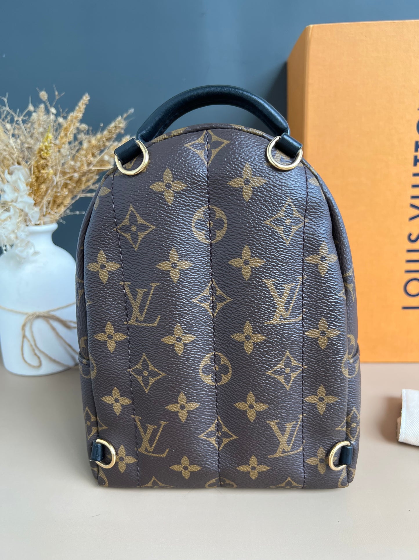 LOUIS VUITTON PALMSPRING MINI MONOGRAM