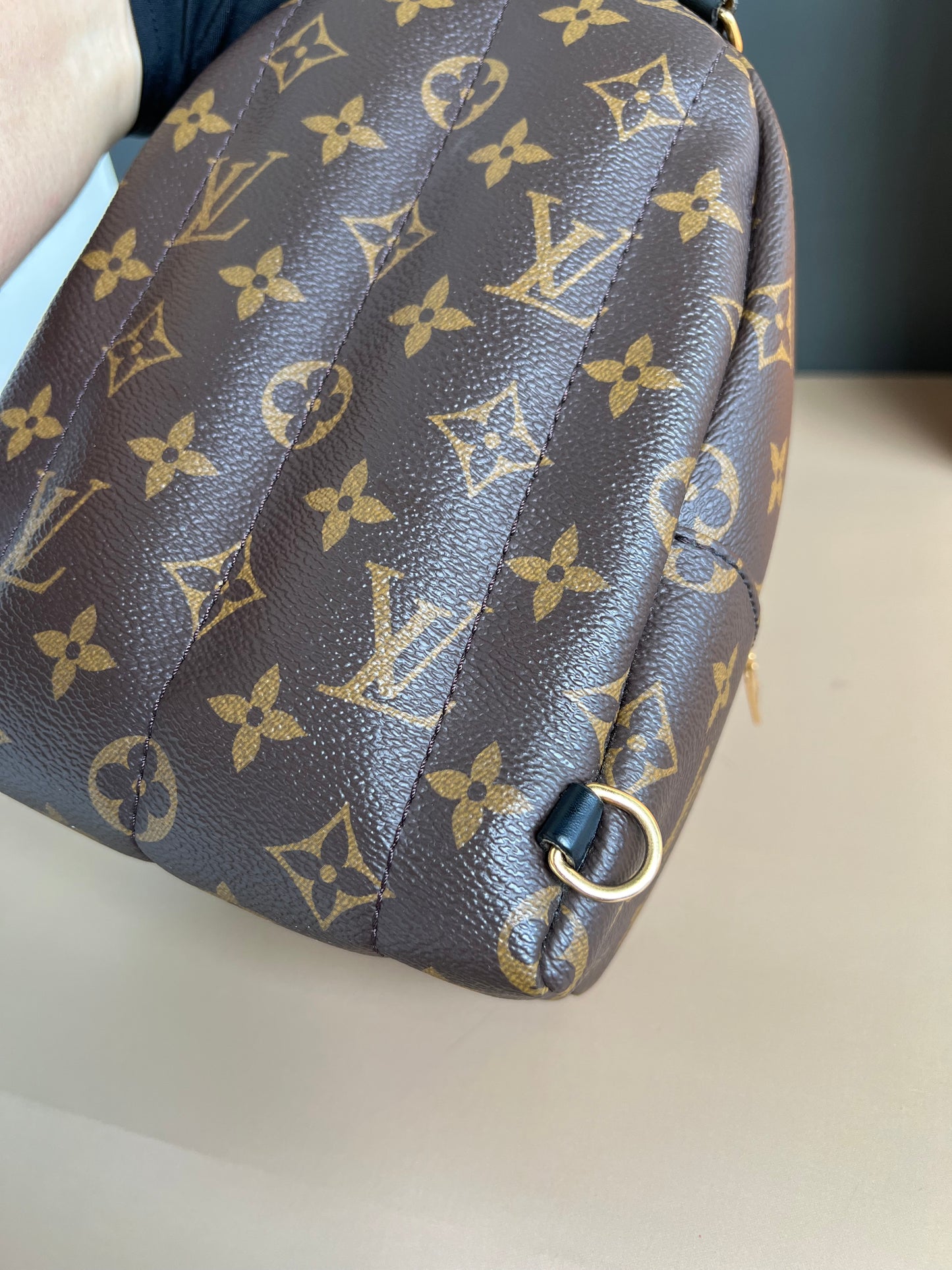 LOUIS VUITTON PALMSPRING MINI MONOGRAM