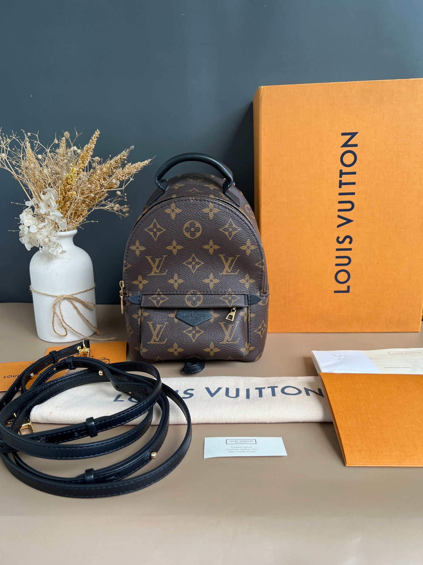LOUIS VUITTON PALMSPRING MINI MONOGRAM