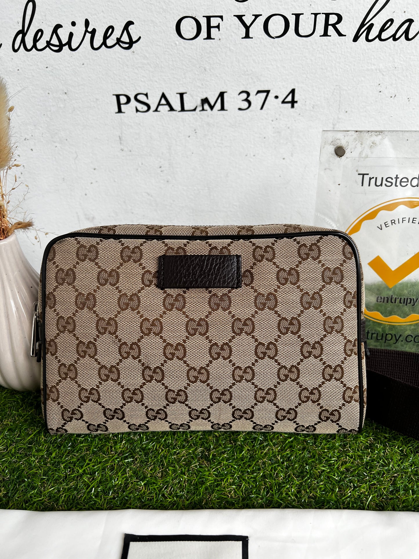 GUCCI CANVAS BELTBAG