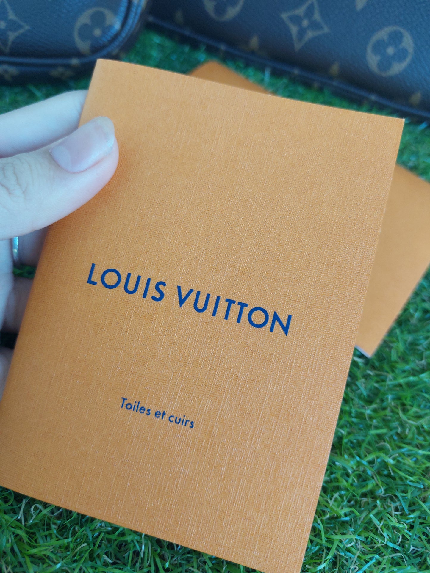 Louis Vuitton Multipochette