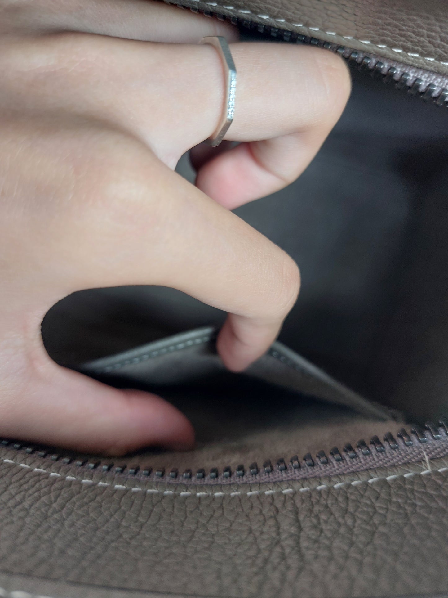 Celine Micro Luggage Souris