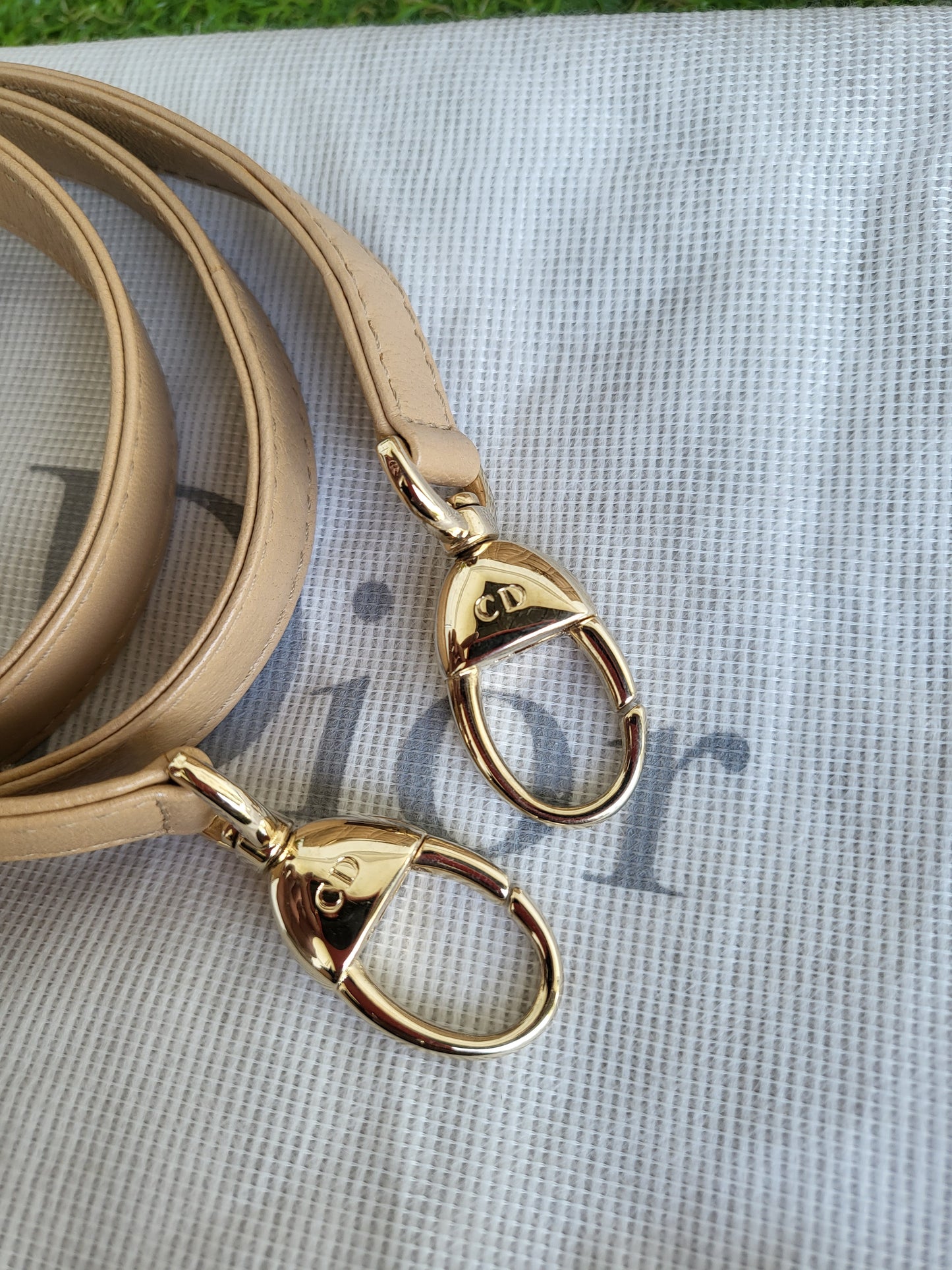 Lady Dior Large