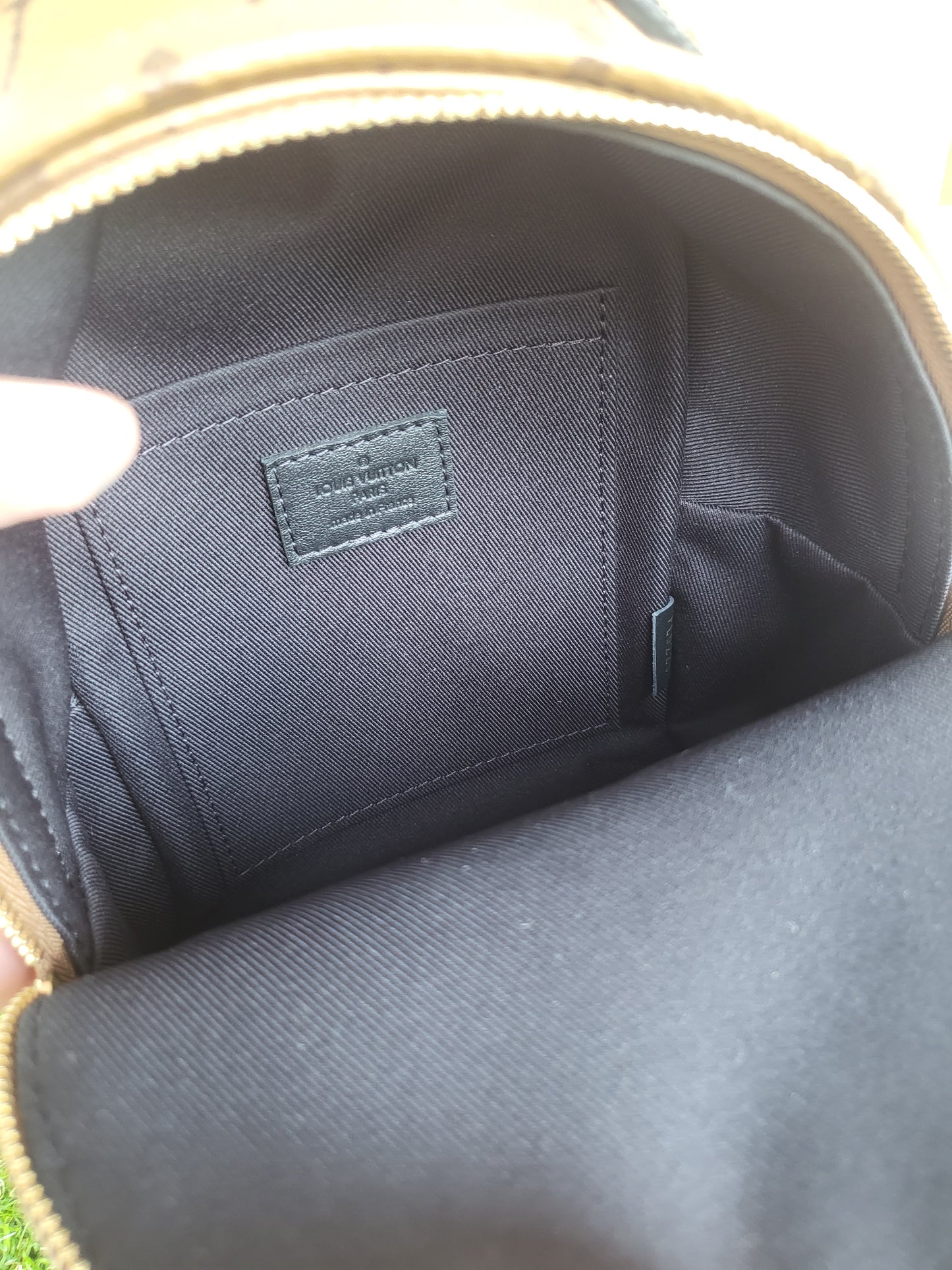 Louis Vuitton Palmspring Mini