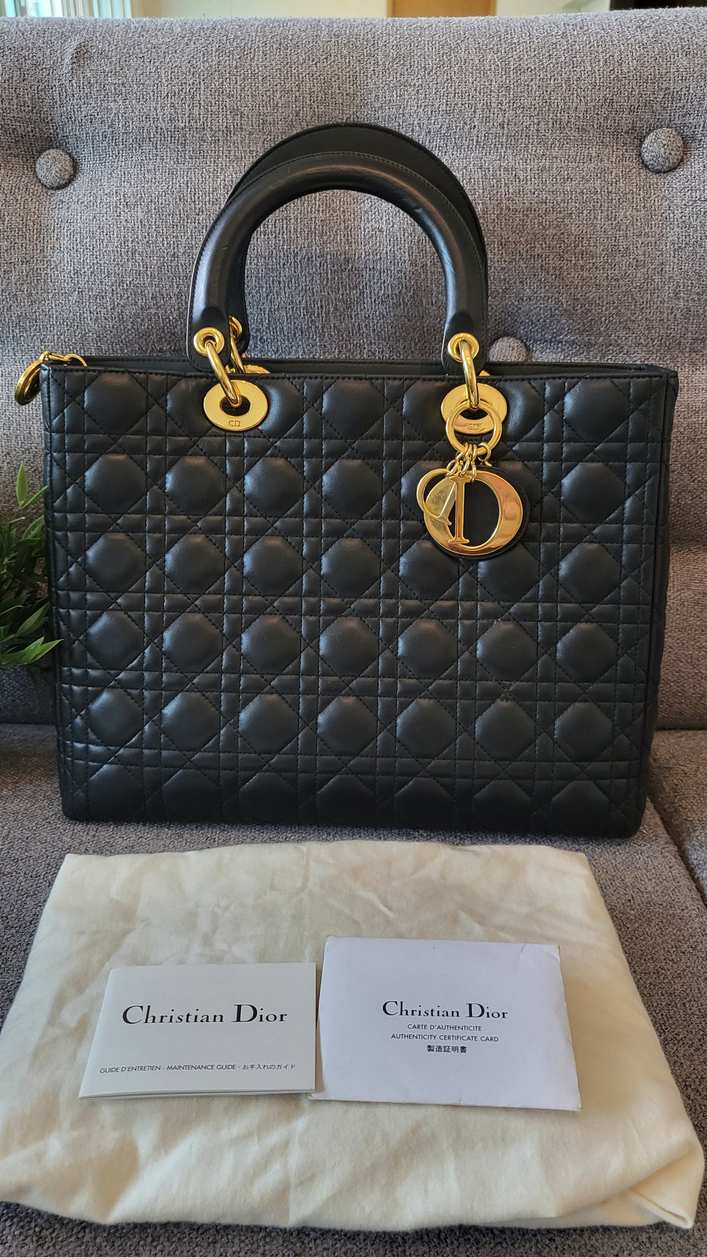Lady dior large