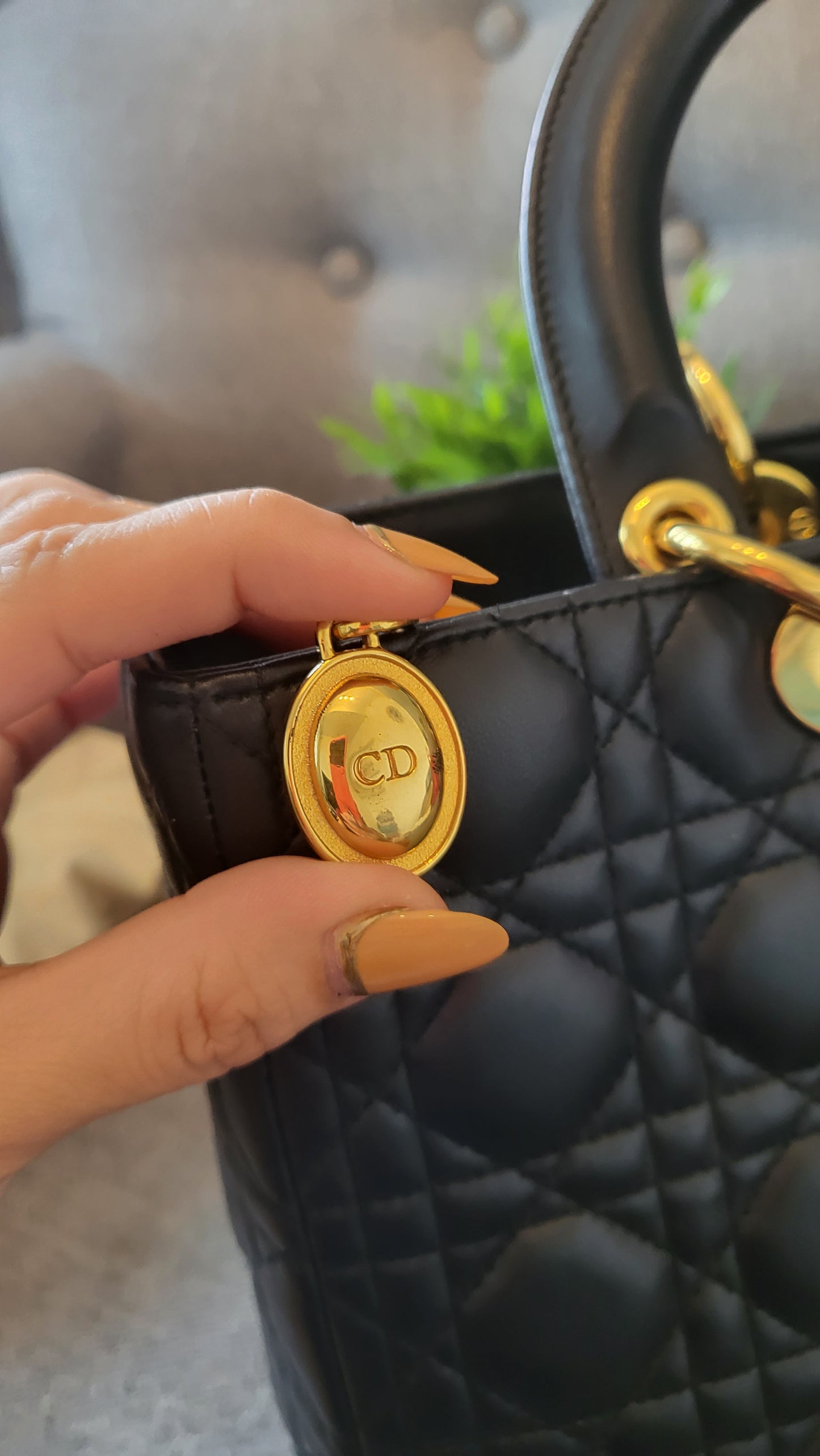 Lady dior large