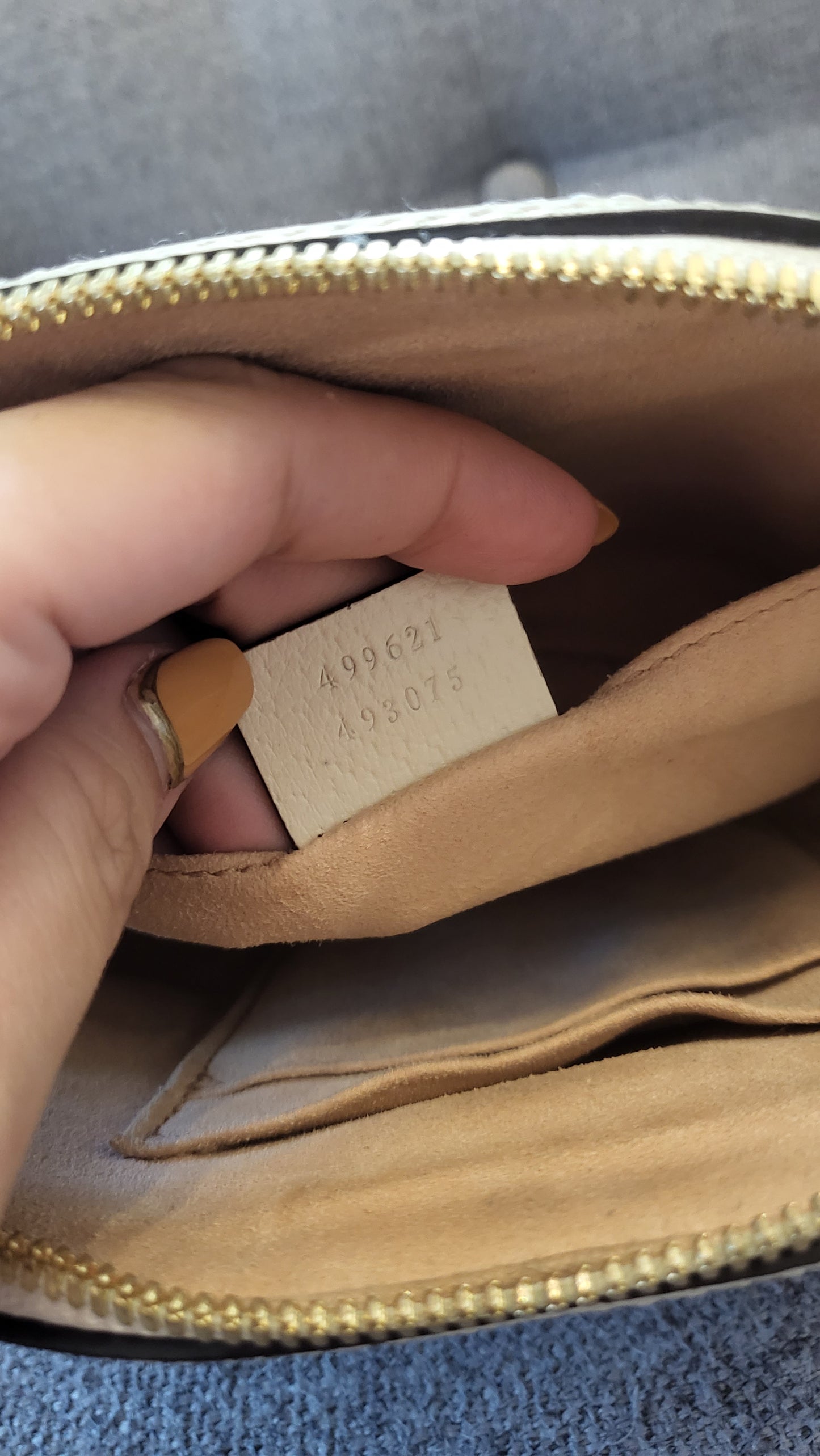 Gucci Ophidia Dome
