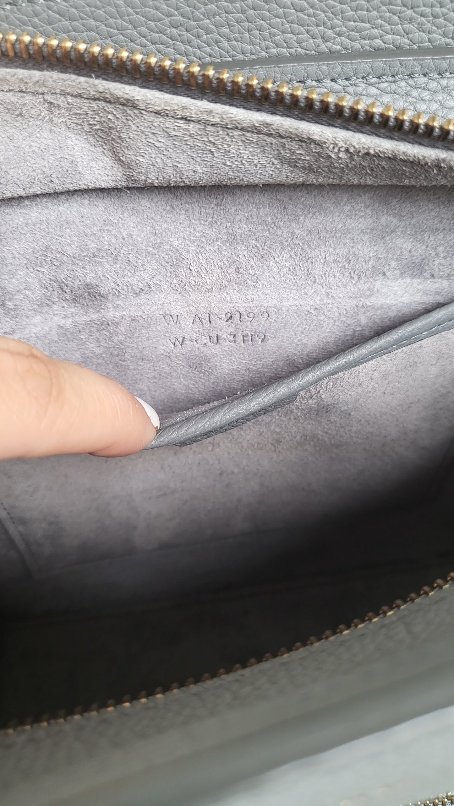 Celine Nano Luggage