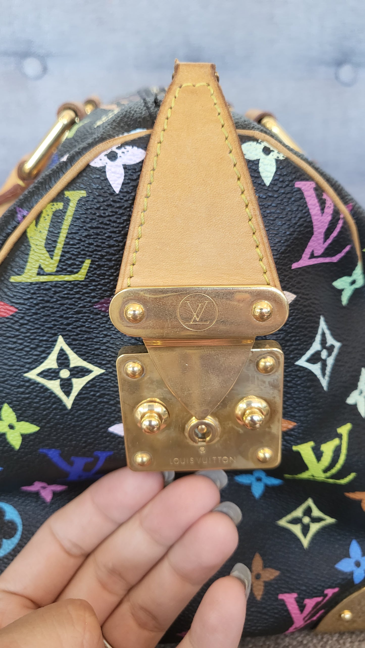 LV multicolored speedy 30