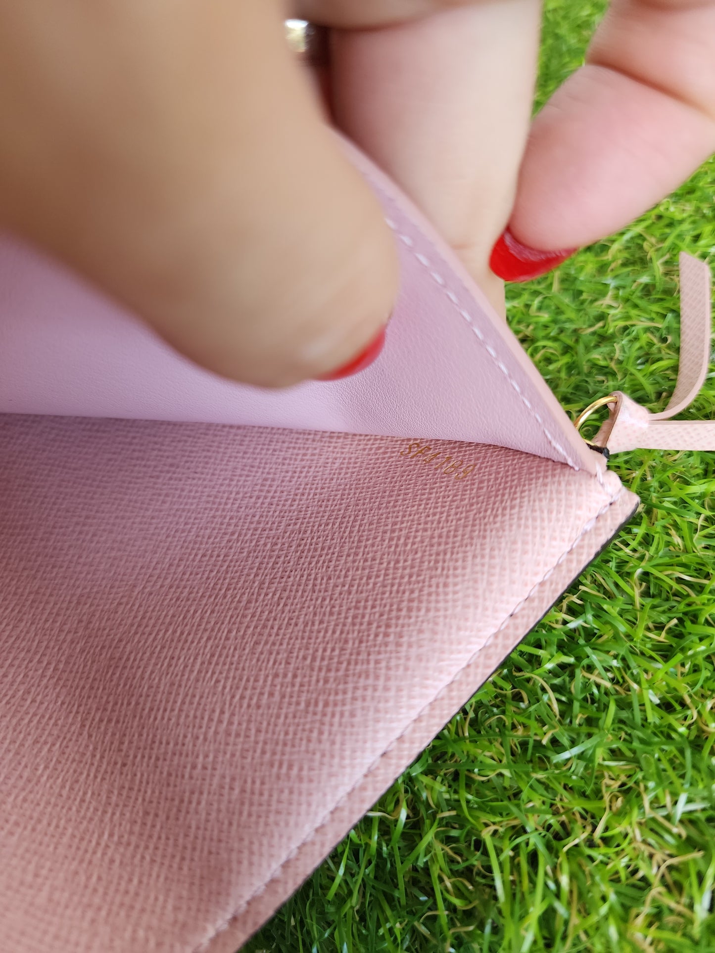 Louis Vuitton Victorine Wallet