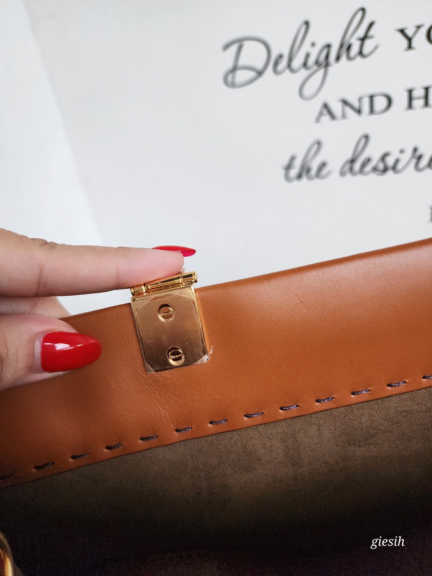 Fendi Sunshine medium