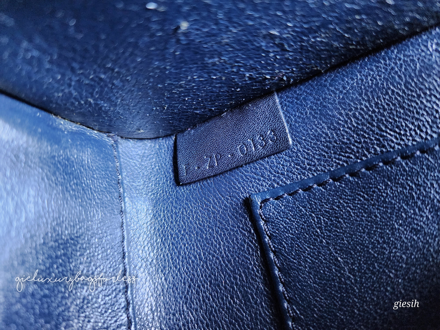 Celine Nano Luggage