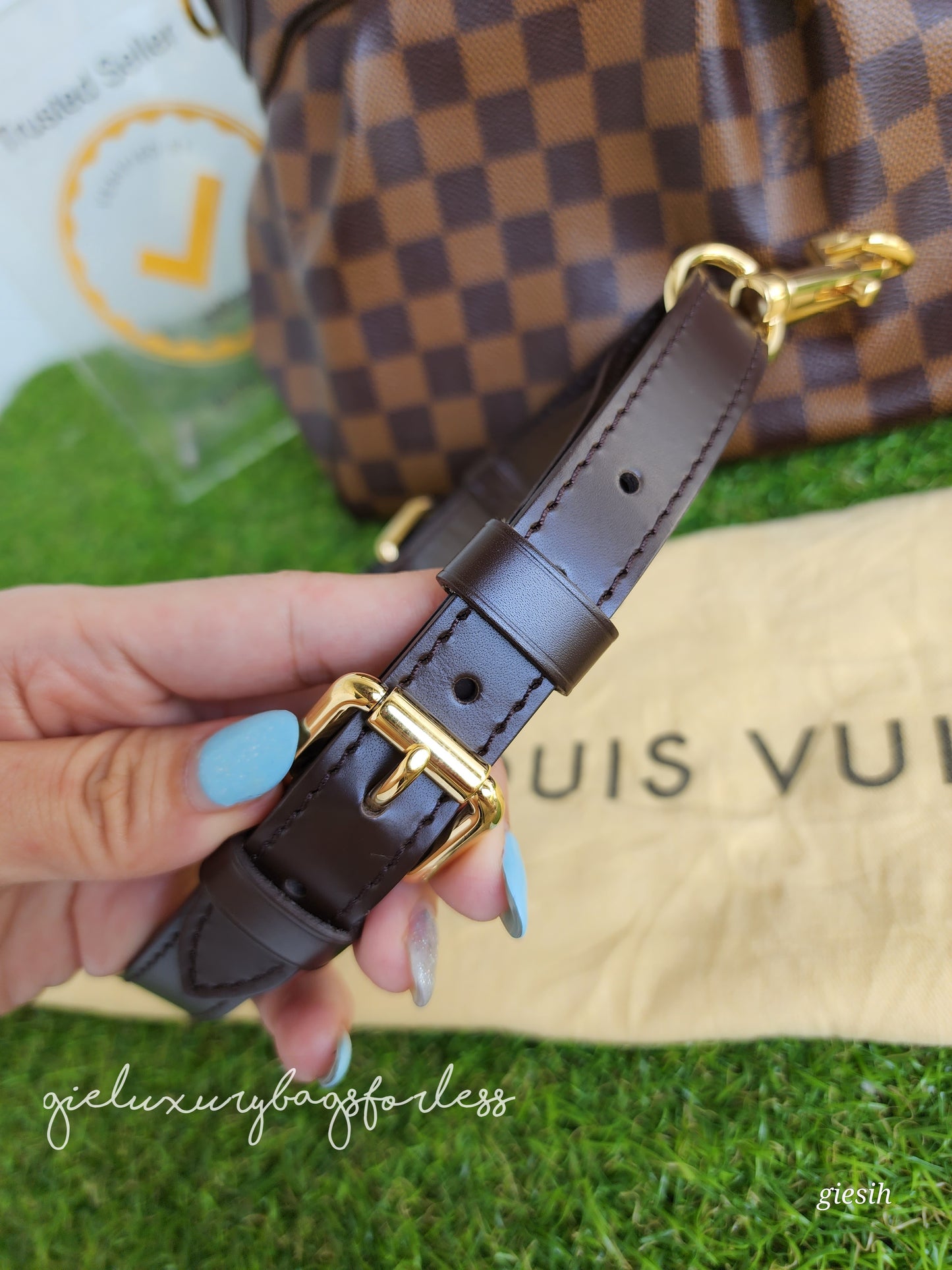 Louis Vuitton Trevi PM