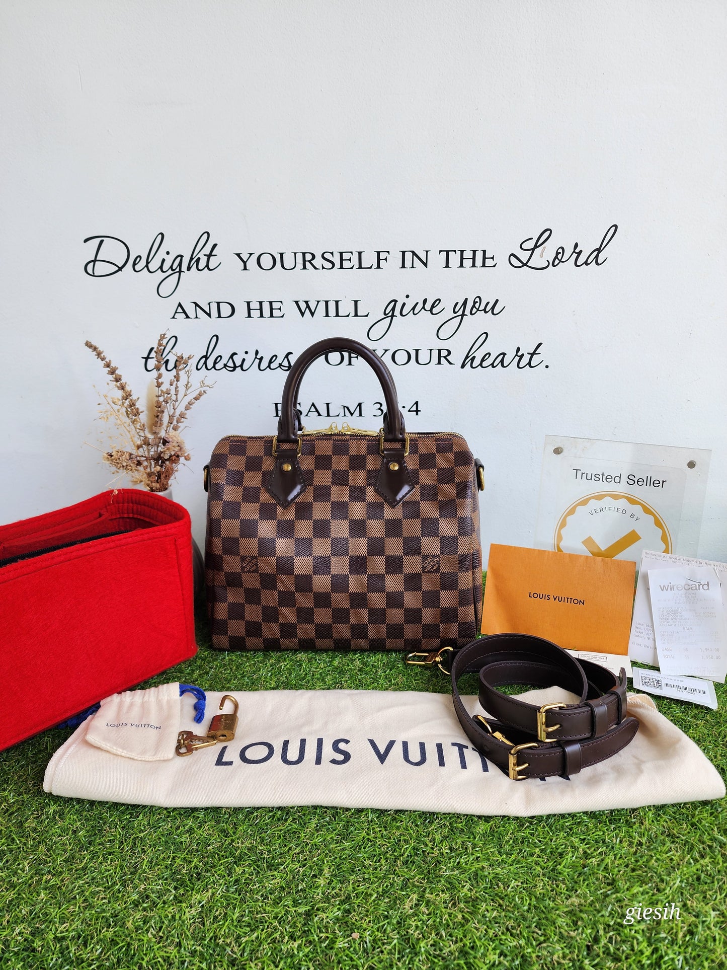 Louis Vuitton Bando 25 Ebene