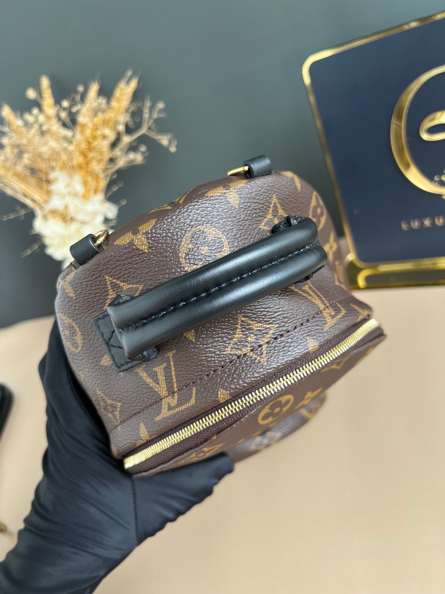 LOUIS VUITTON PALMSPRING MINI MONOGRAM