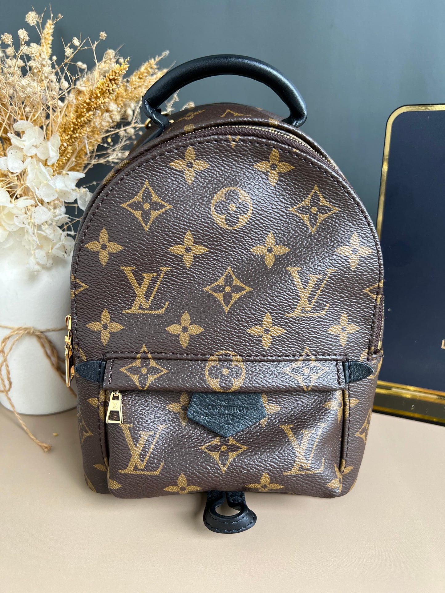 LOUIS VUITTON PALMSPRING MINI MONOGRAM